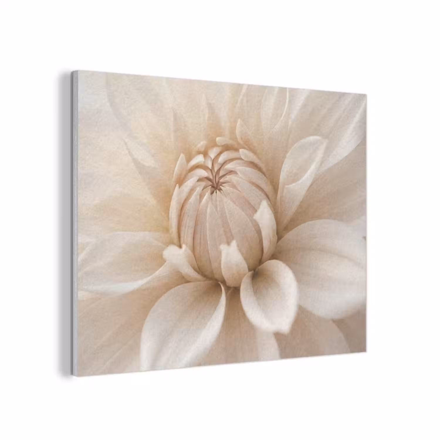 Bloem - Dahlia - Wit PET vilt klein -3d