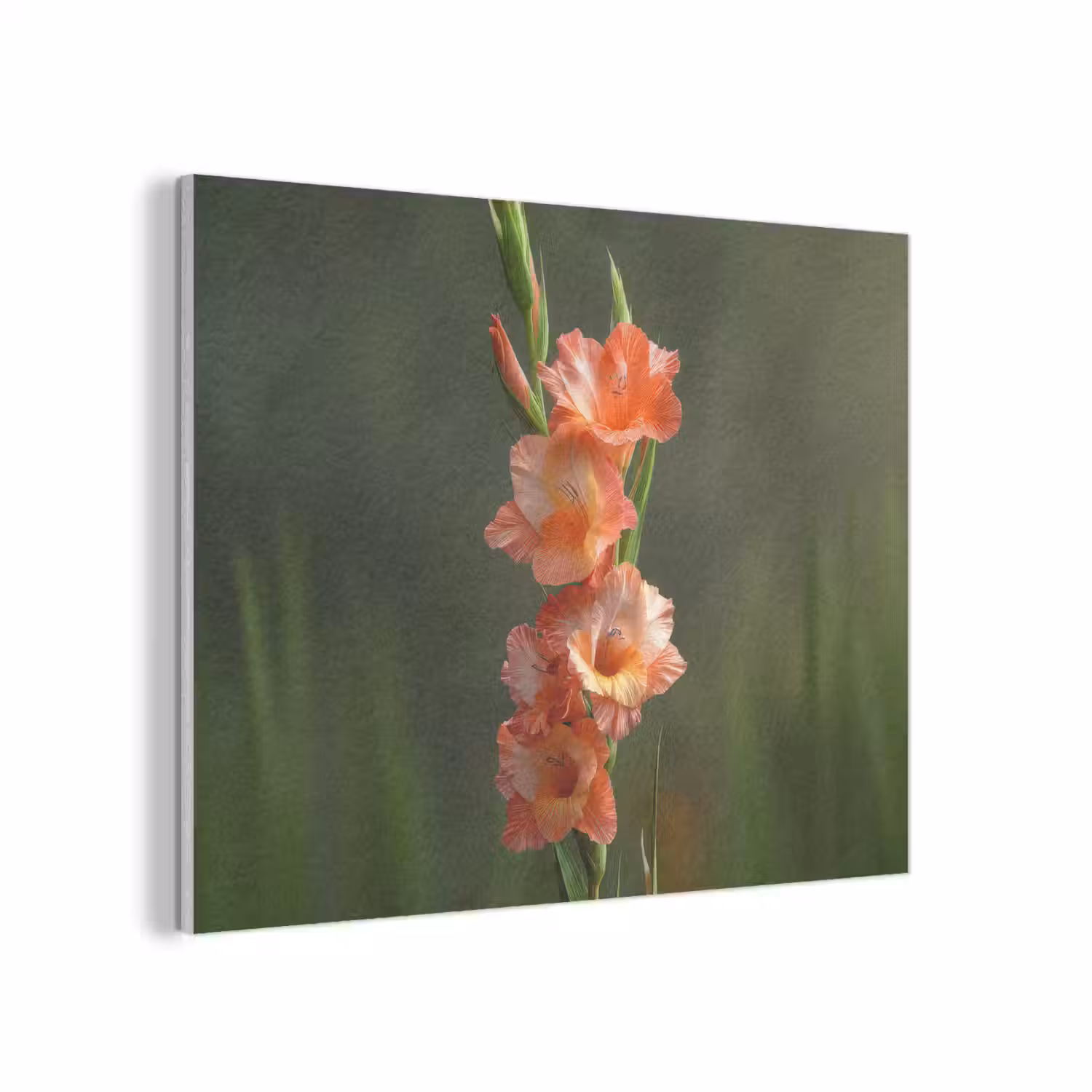 Bloem - Gladiolen - Zalmroze PET vilt klein -3d