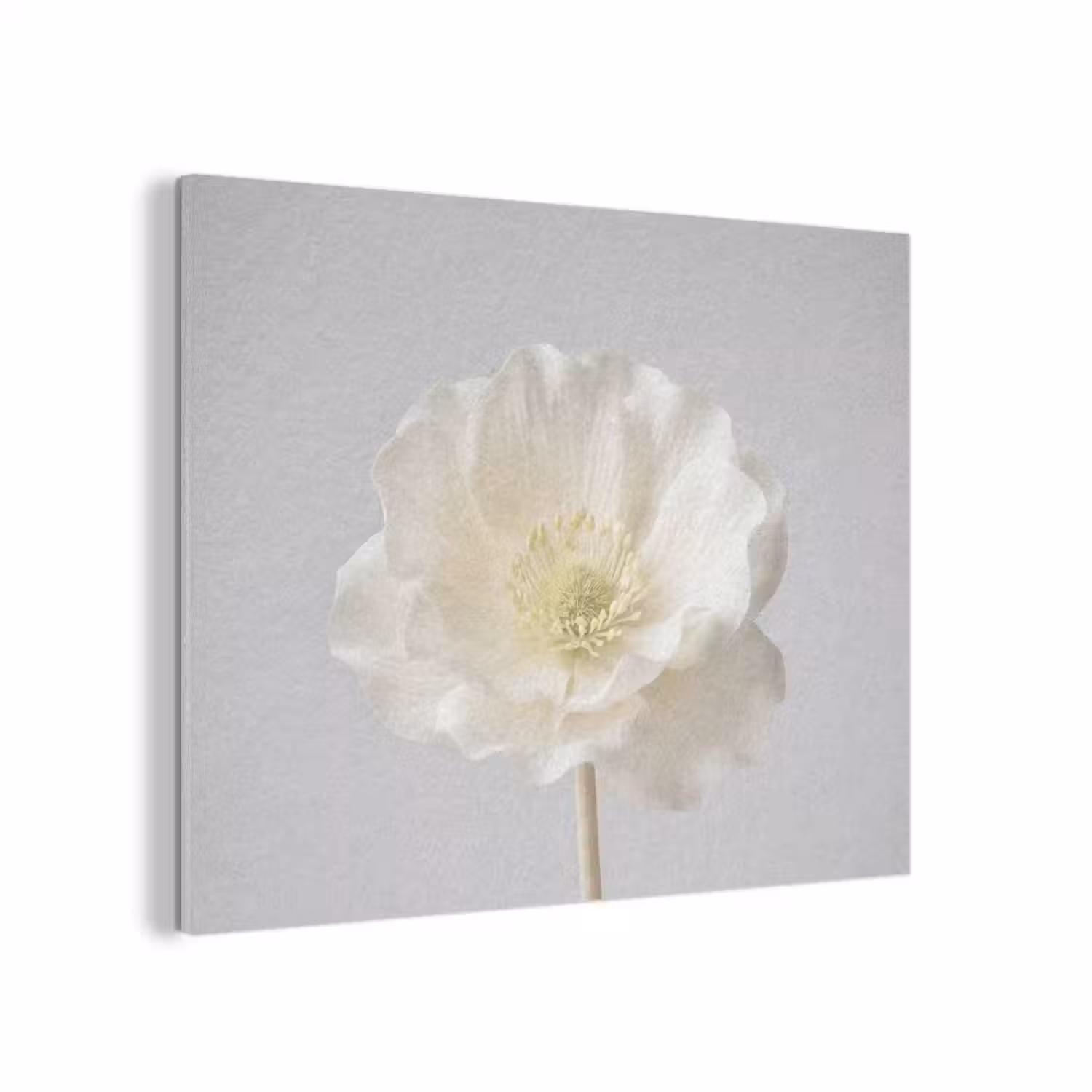 Bloem - Minimalistisch -Wit PET vilt klein -3d