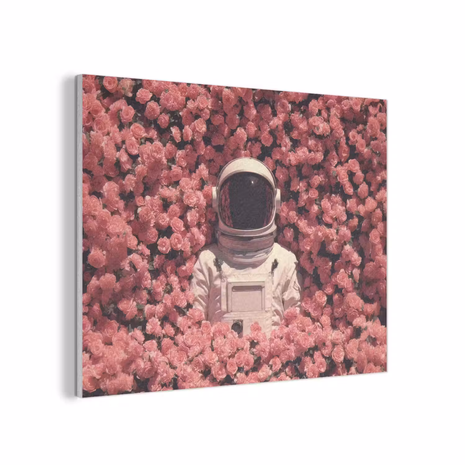 Bloemen - Roze - Astronaut PET vilt klein -3d
