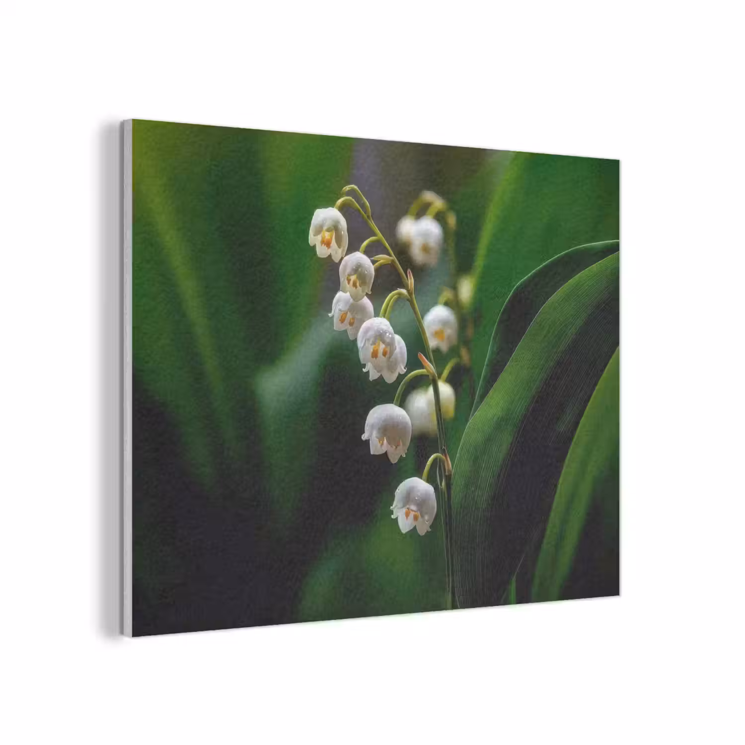 Bloemen - Wit - Bladeren - Lelietjes PET vilt klein -3d