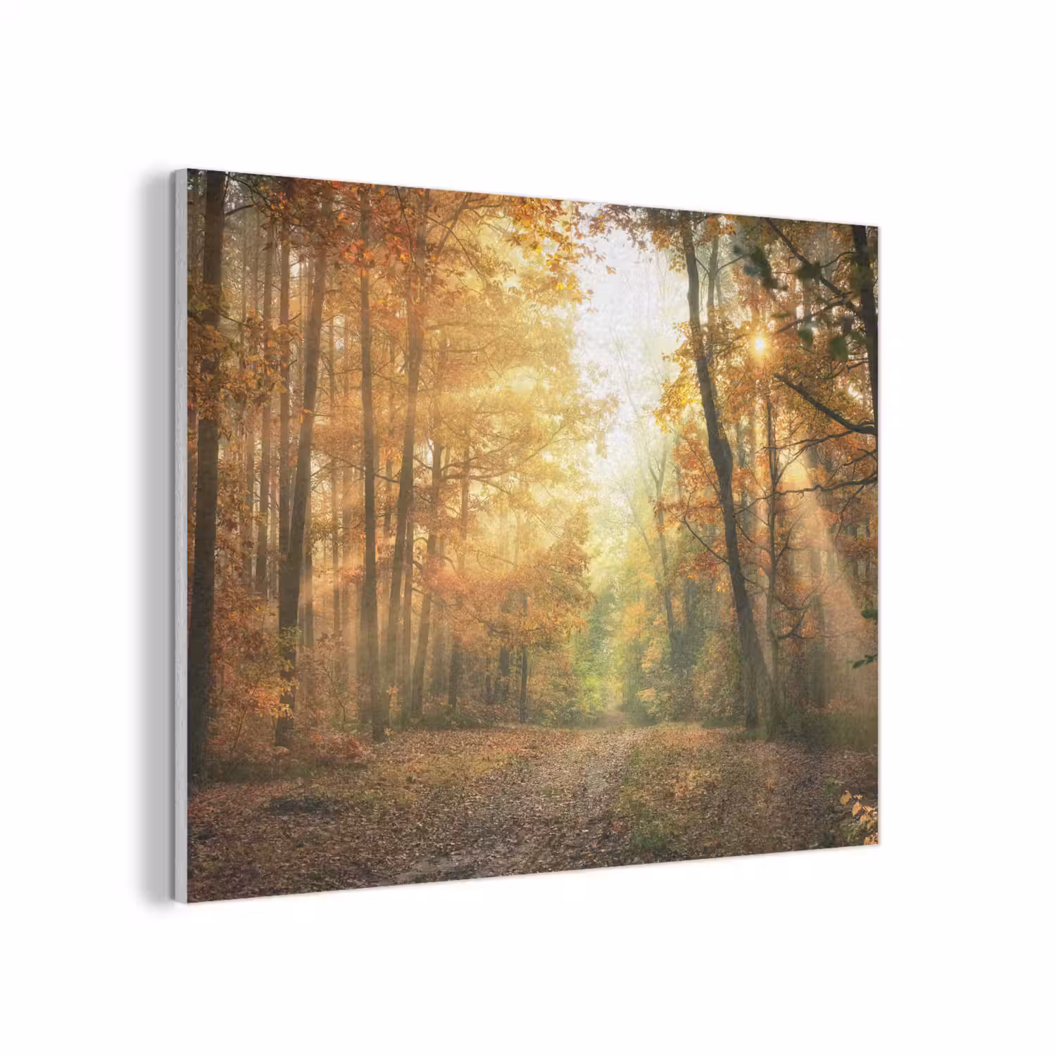 Bos - Herfst - Zon - Landschap - Natuur - Bomen - Bladeren PET vilt klein -3d