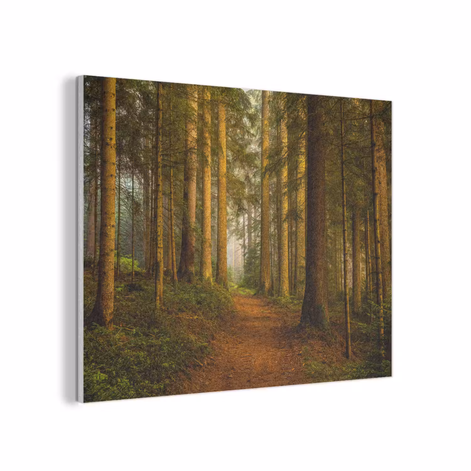 Bos - Natuur - Bomen - Landschap - Bladeren PET vilt klein -3d
