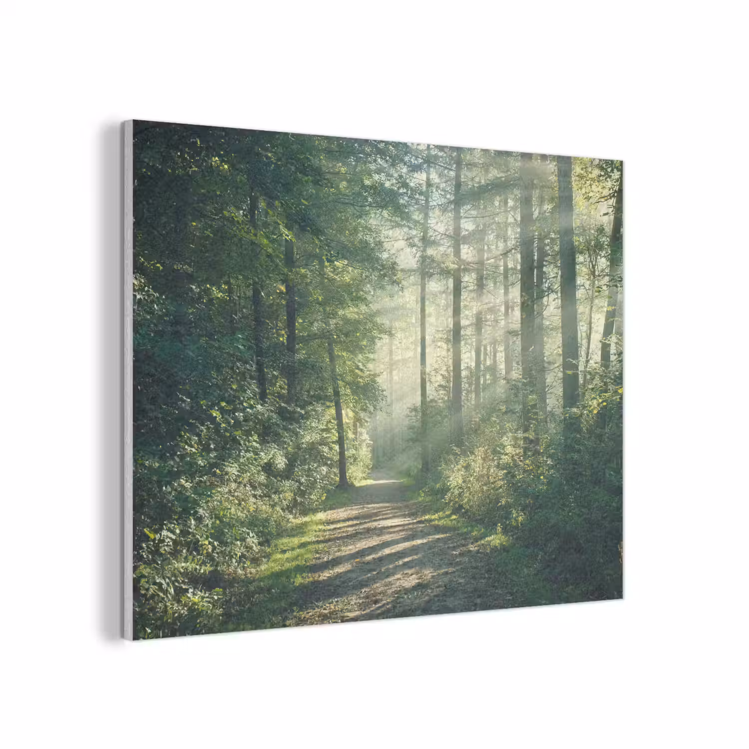 Bos - Pad - Zon - Bomen - Groen - Natuur PET vilt klein -3d