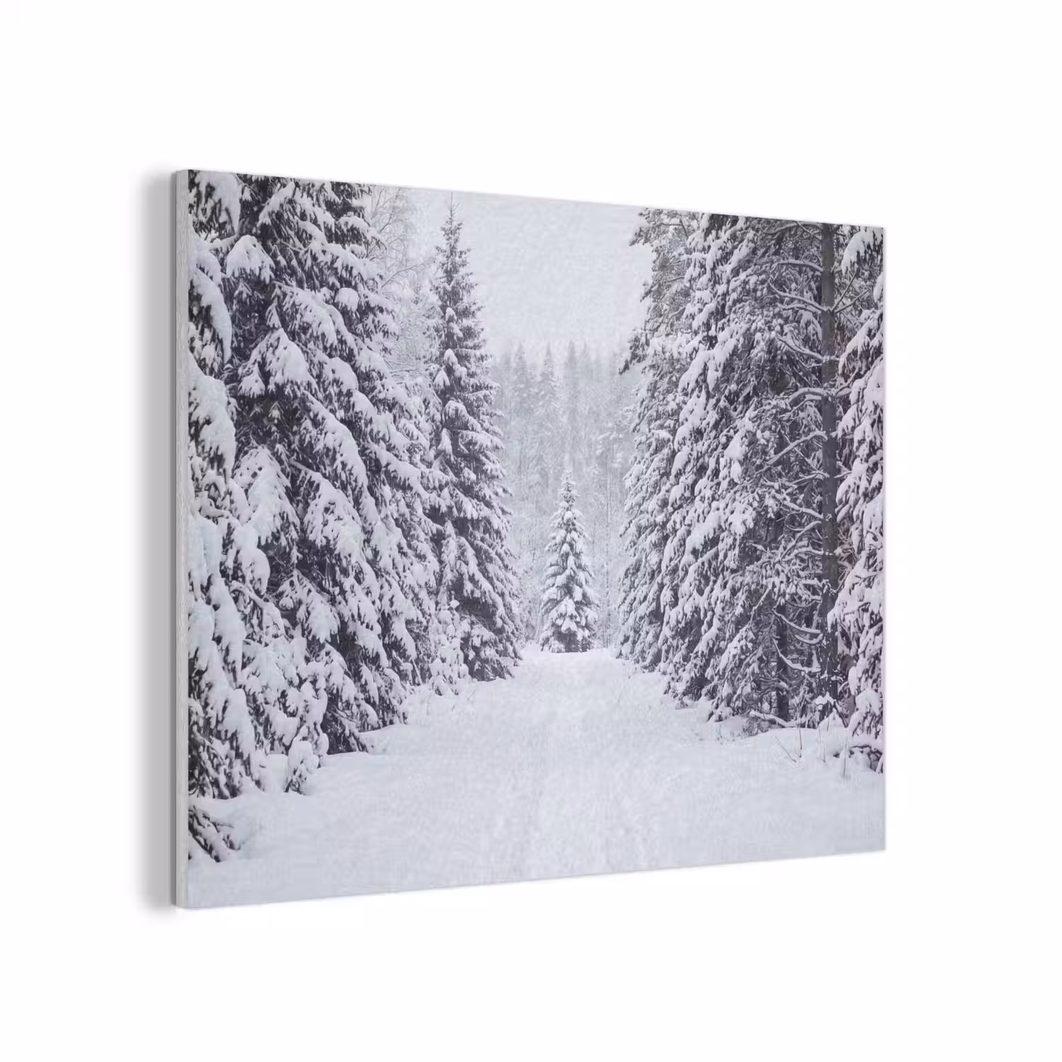 Bos - Winter - Sneeuw - Pad - Natuur PET vilt klein -3d