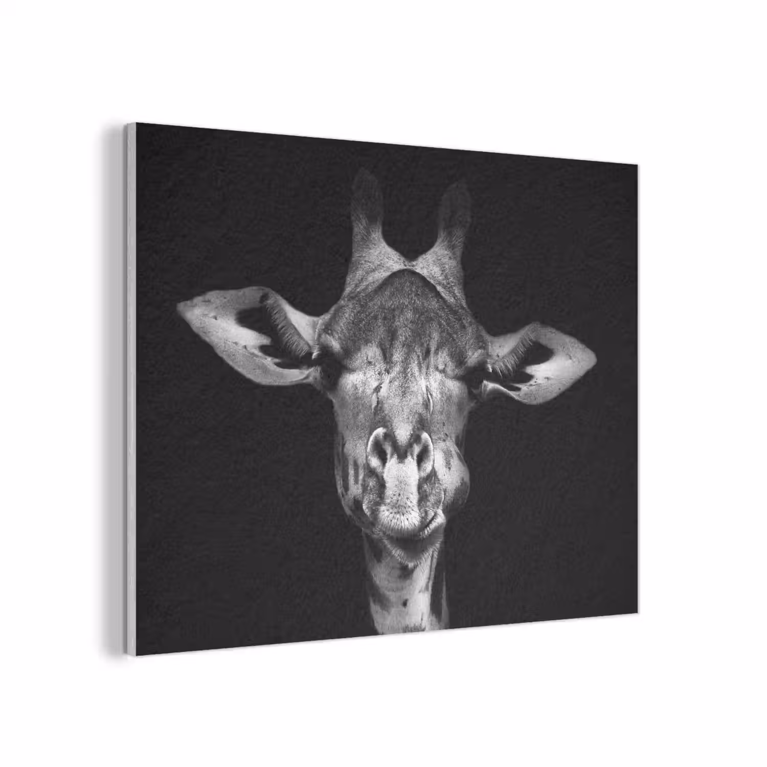 Giraffe - Portret - Dieren - Zwart - Wit PET vilt klein -3d