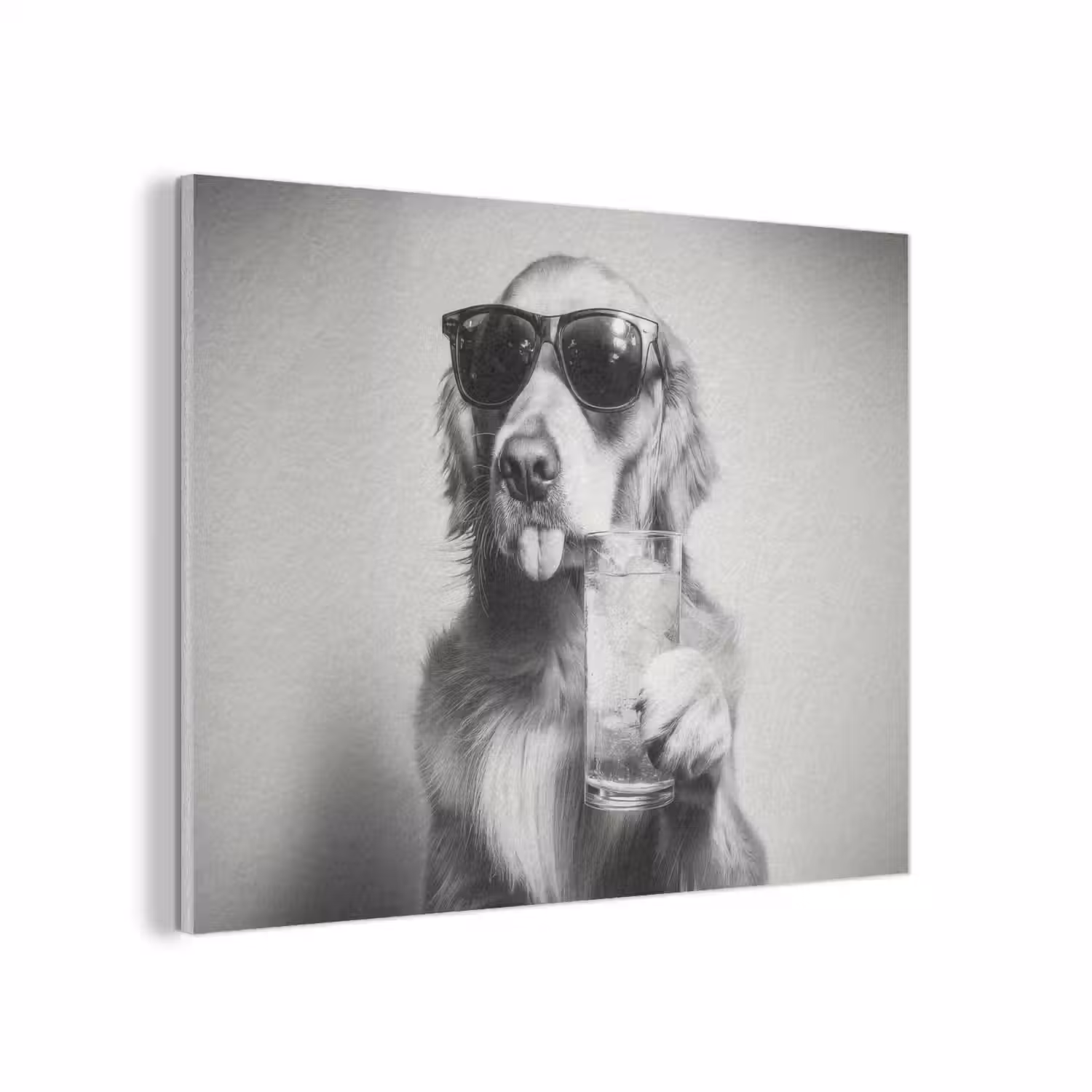 Golden retriever - Hond - Zonnebril - Gkas PET vilt klein -3d