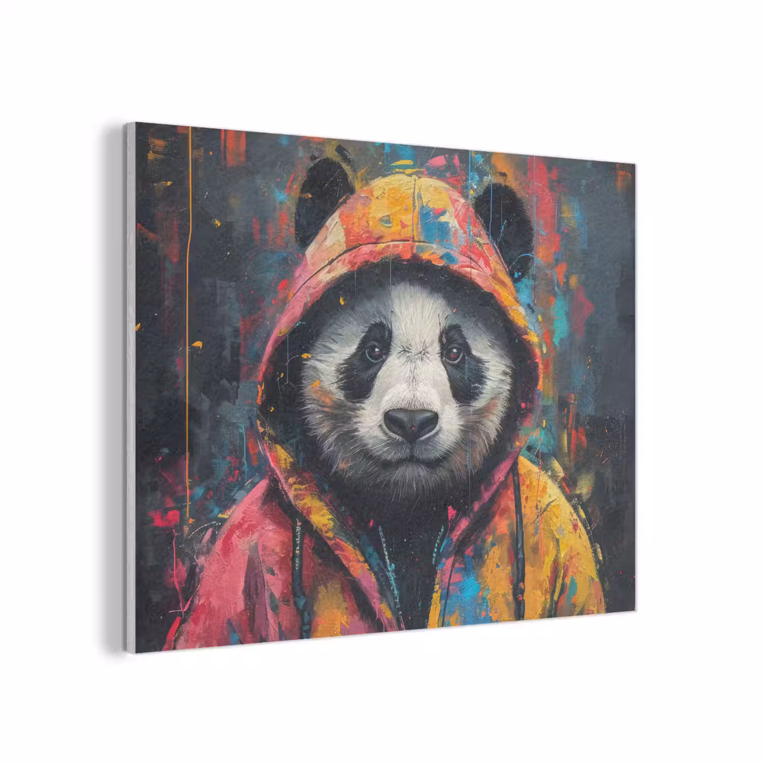 Graffiti - Panda - Jas - Kleurrijk PET vilt klein -3d