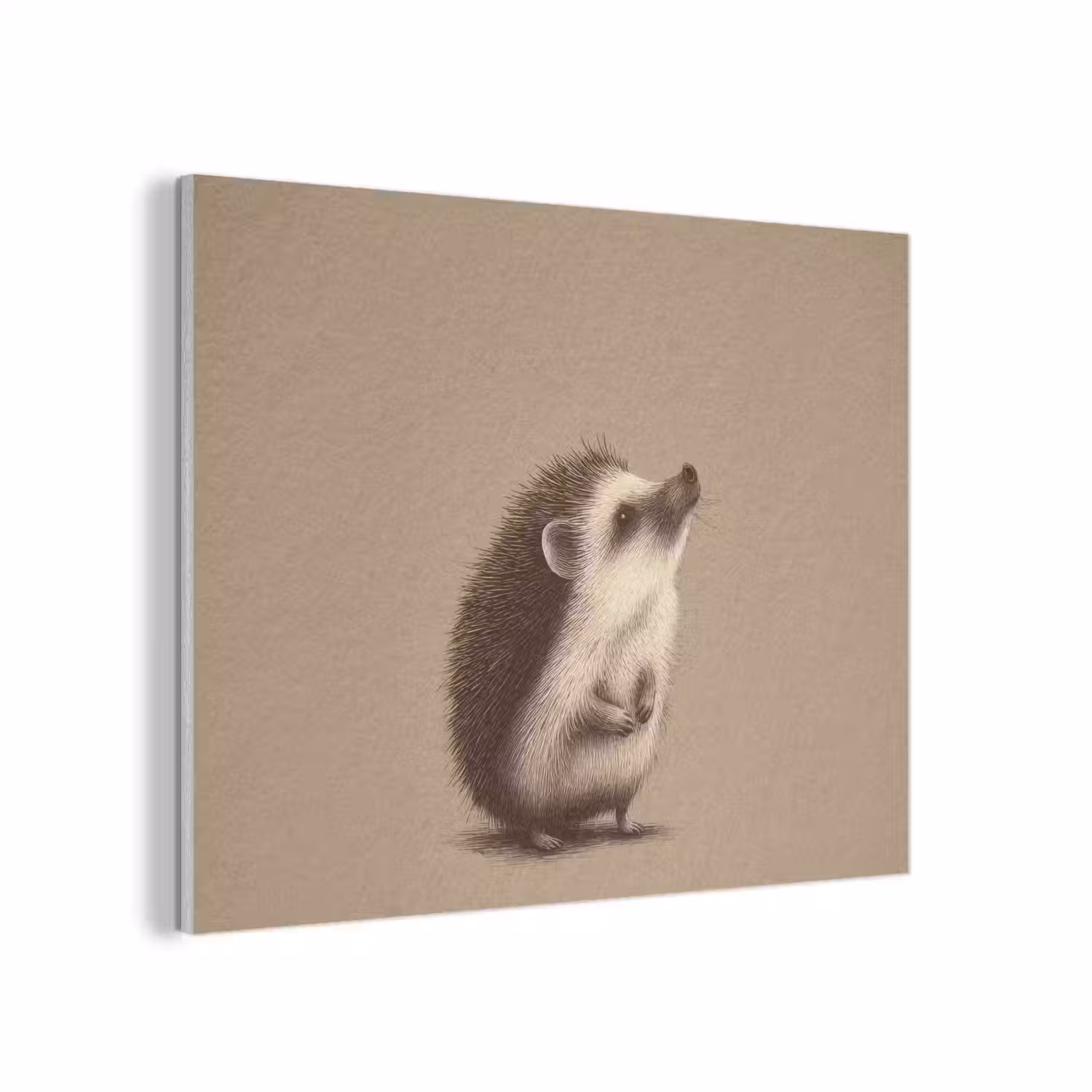 Egel - Snuitje - Bruin - Stekels PET vilt klein -3d