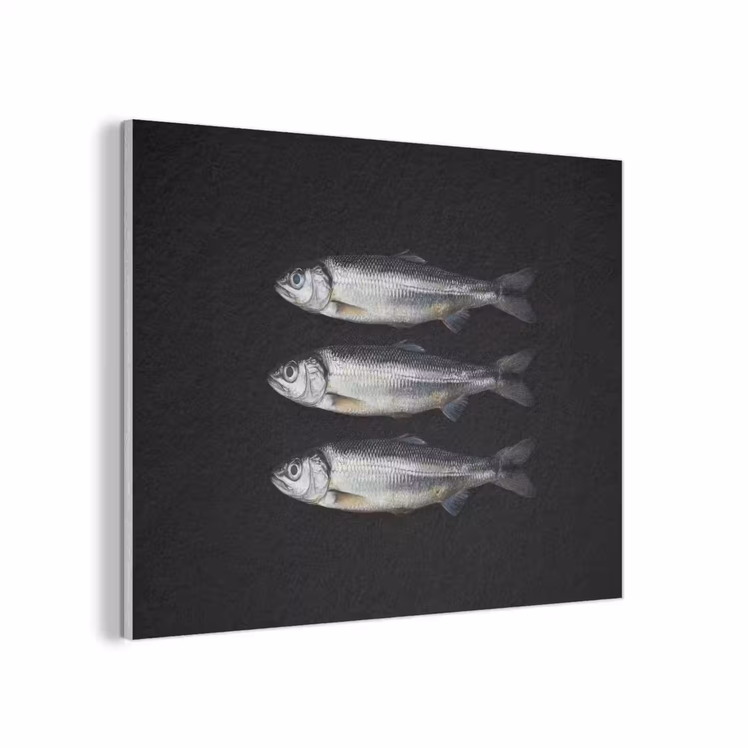 Haring - Vissen - Zwart PET vilt klein -3d