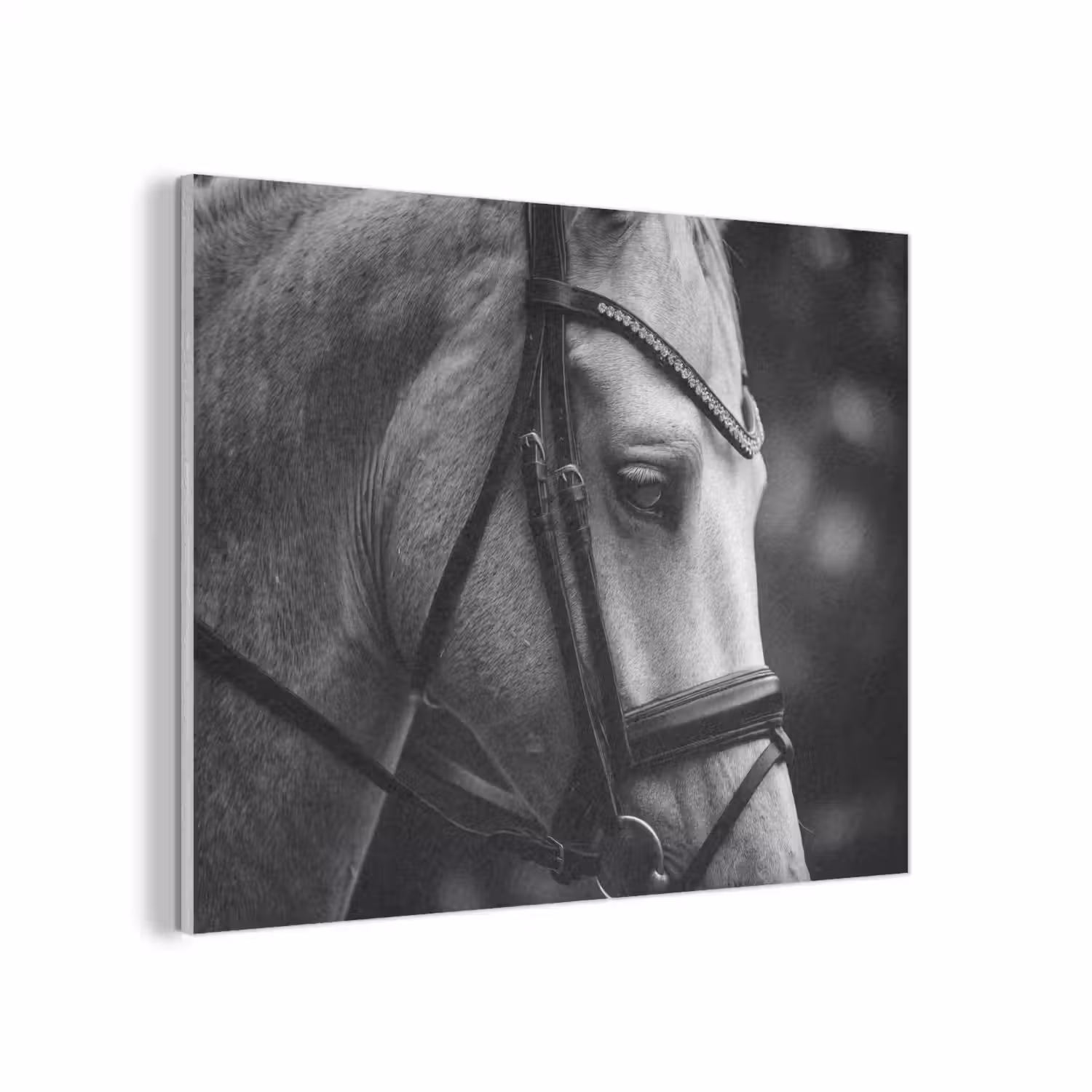 Paard - Schimmel - Portret PET vilt klein -3d