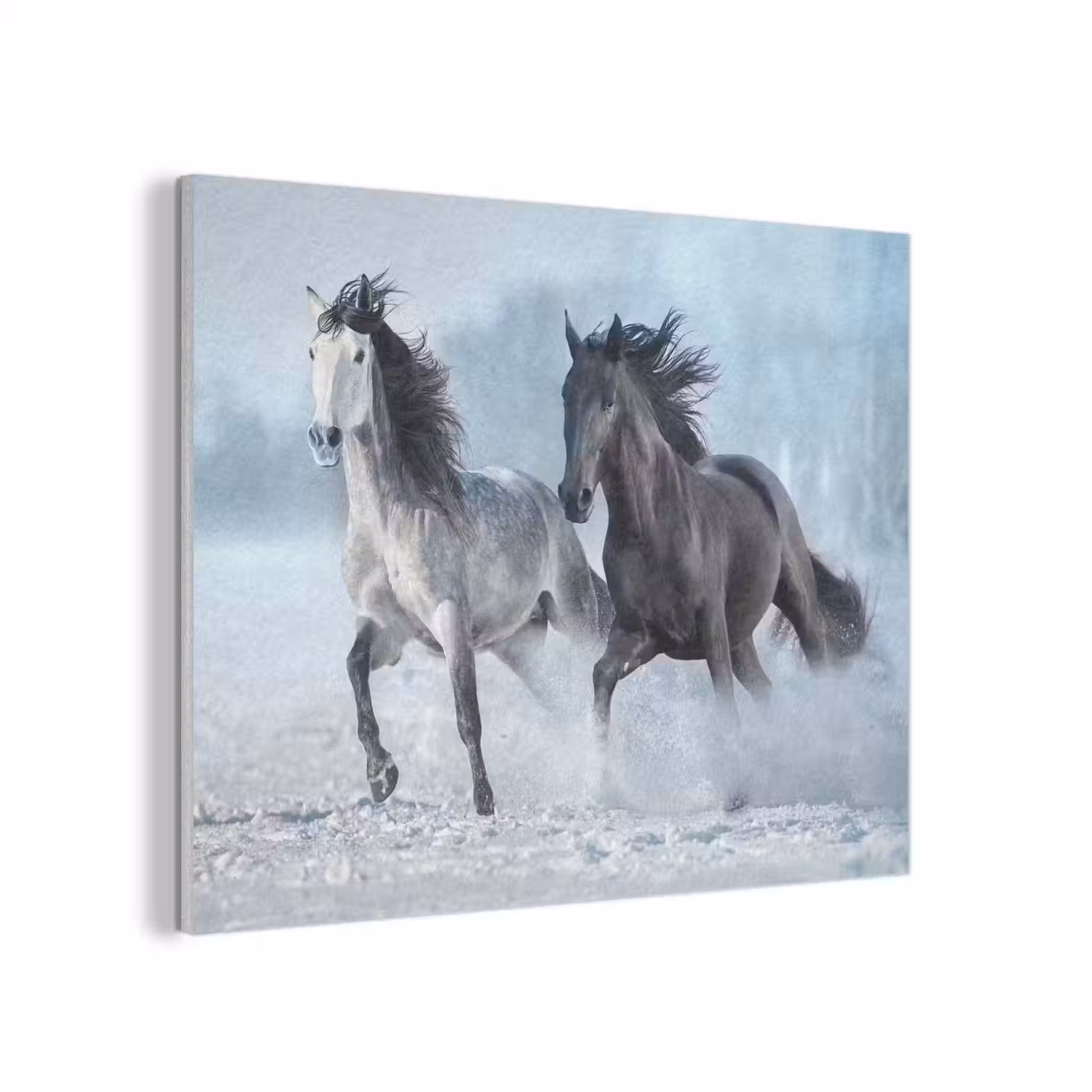 Paarden - Winter - Dieren - Natuur - Sneeuw PET vilt klein -3d
