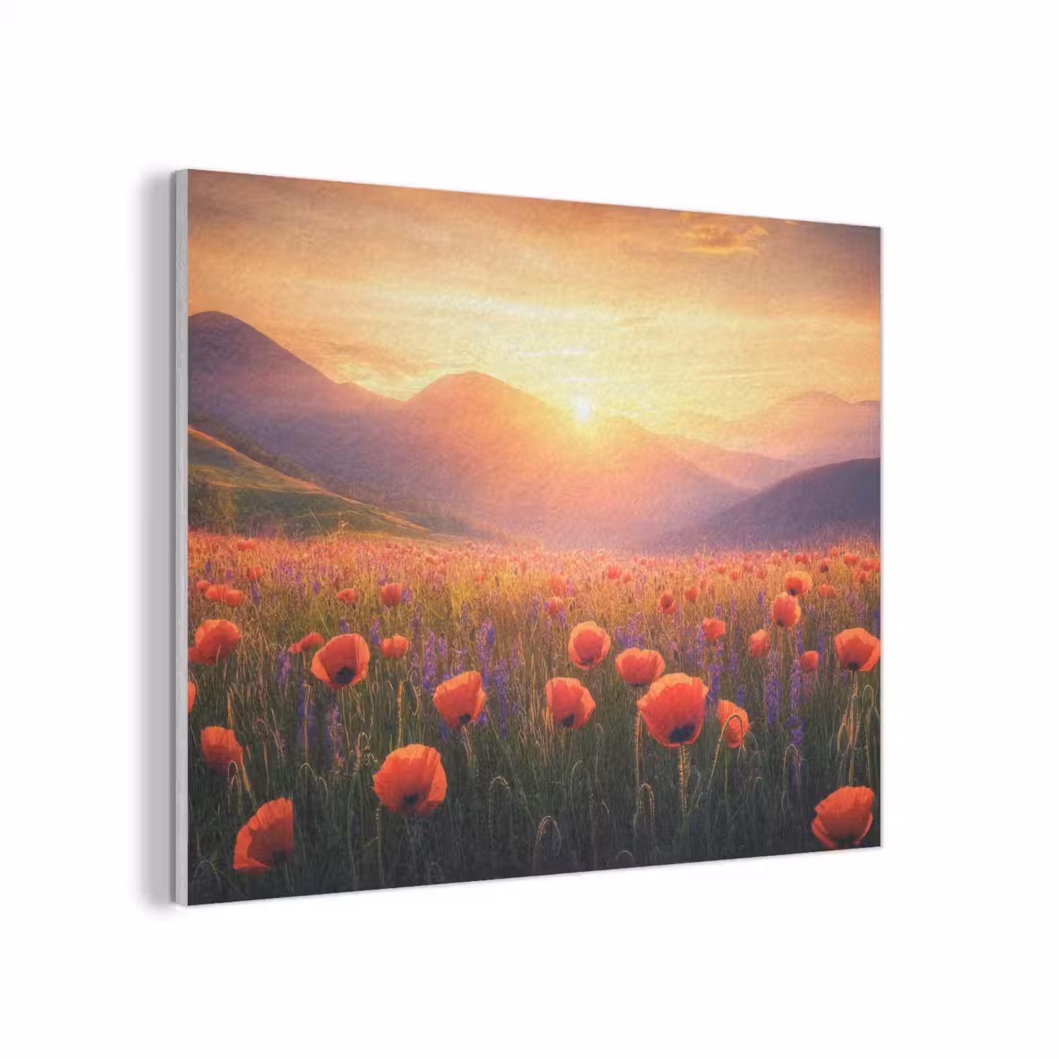 Landschap - Zonsondergang - Bloemenveld PET vilt klein -3d