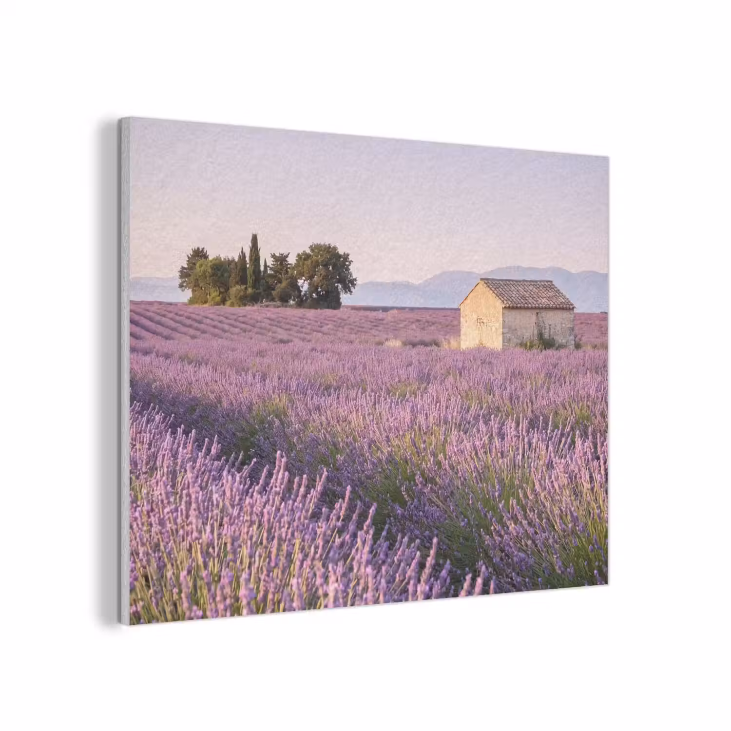 Lavendel - Landschap - Sereen - Paars PET vilt klein -3d