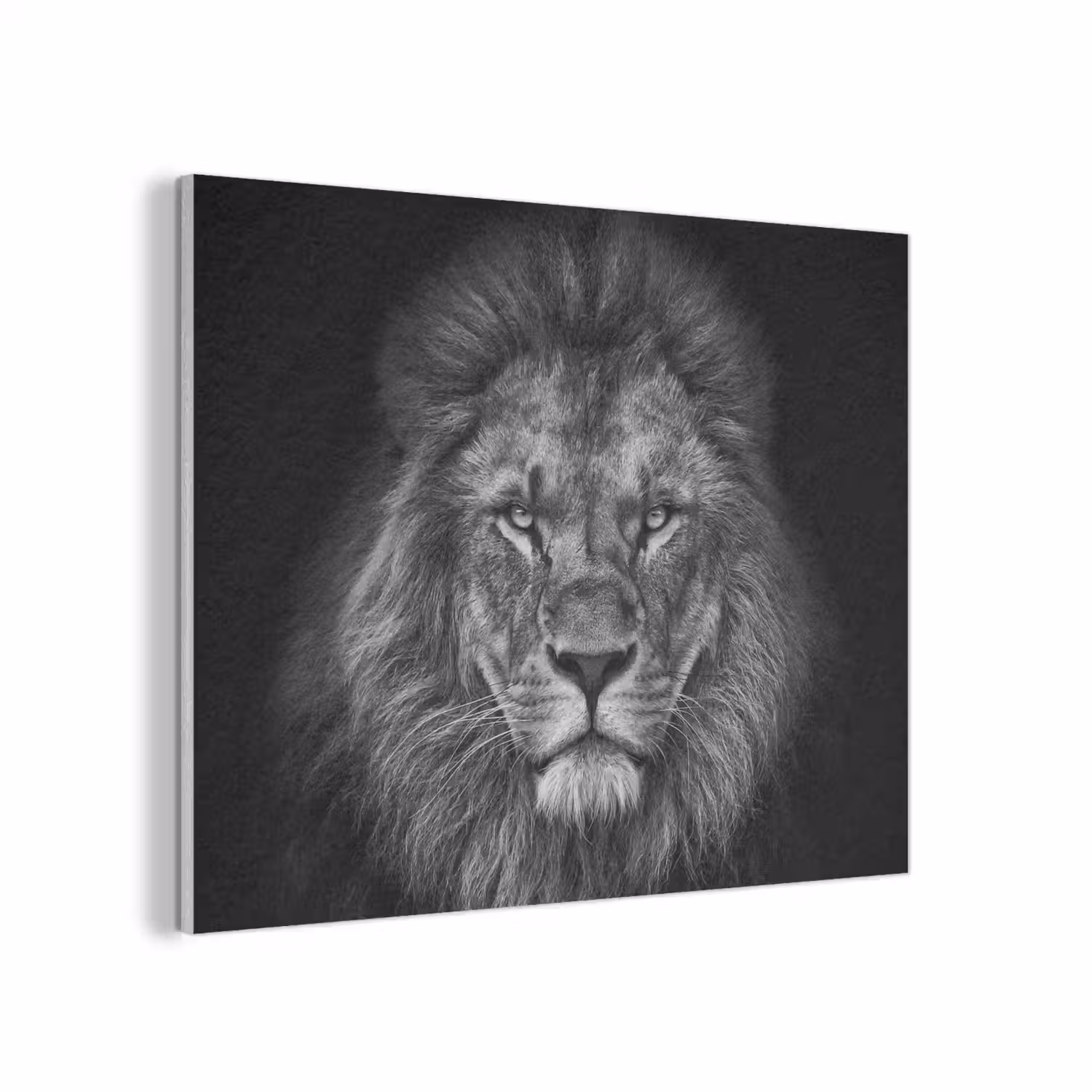 Leeuw - Dieren - Zwart - Wit PET vilt klein -3d