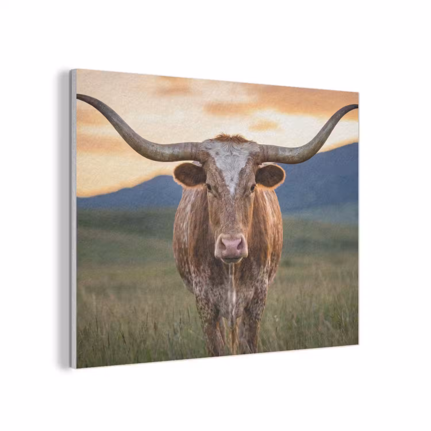 Longhorn - Landschap - Zonsondergang PET vilt klein -3d