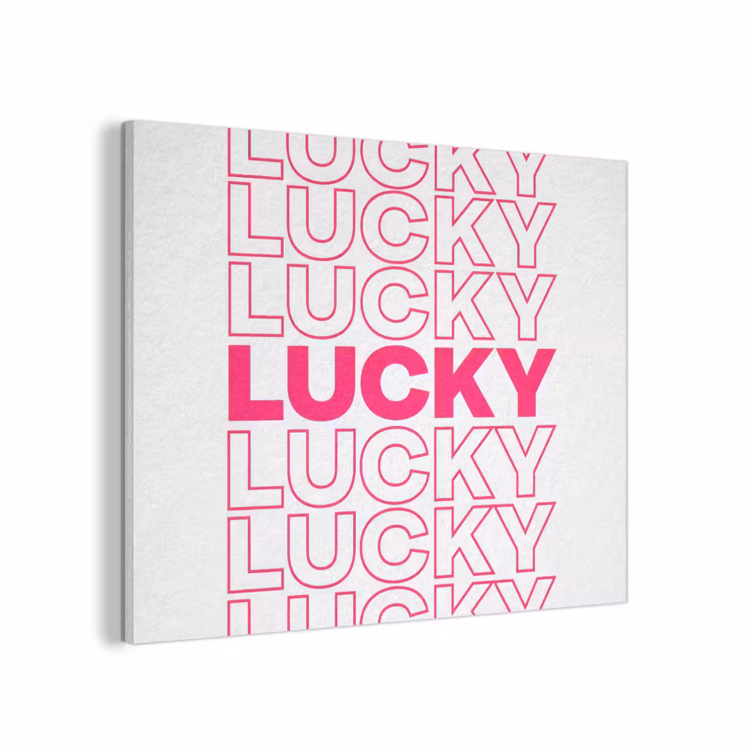 Lucky - Roze - Patroon PET vilt klein -3d