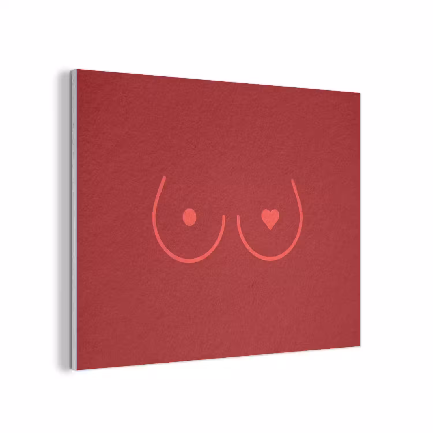 Minimalistisch - Lijnillustratie - Rood PET vilt klein -3d
