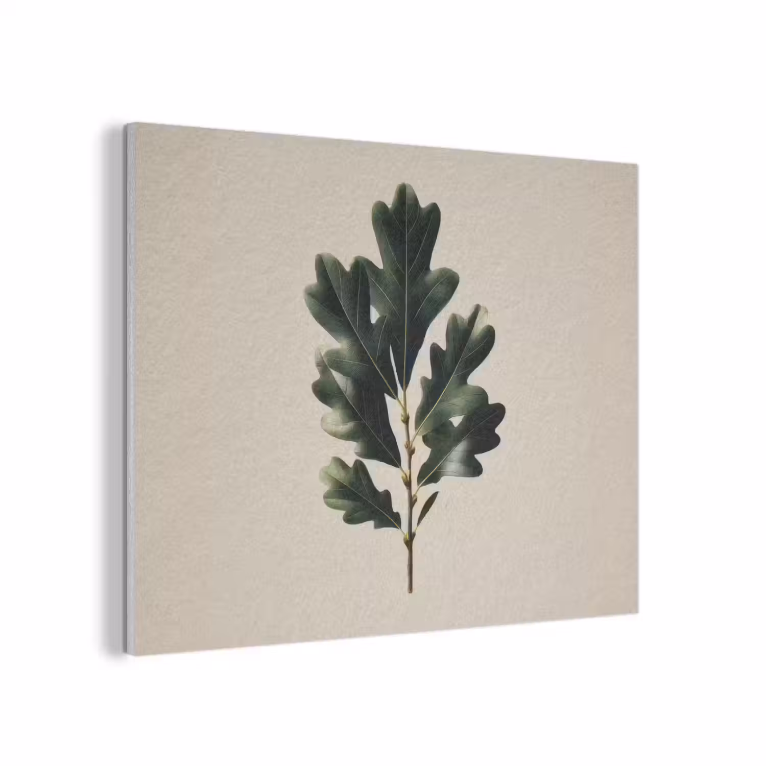 Eikenbladeren - Beige - Groen - Golvende randen PET vilt klein -3d