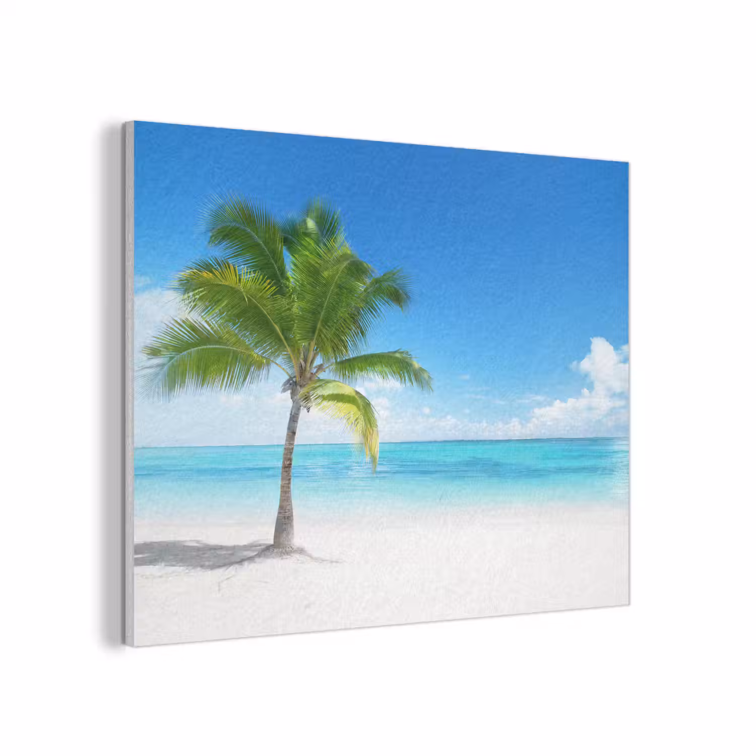 Palmboom - Strand - Zee - Zomer PET vilt klein -3d