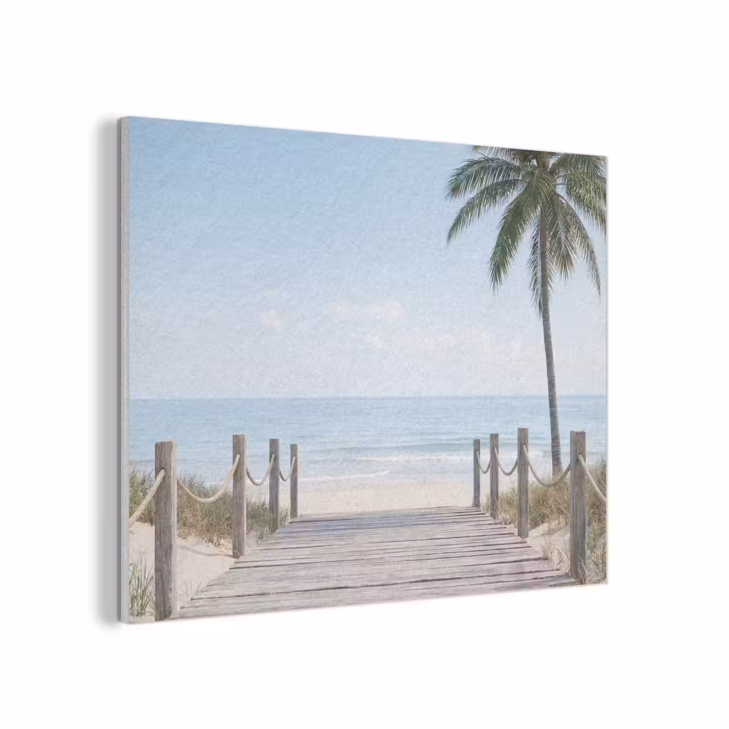 Palmbomen - Pad - Horizon PET vilt klein -3d