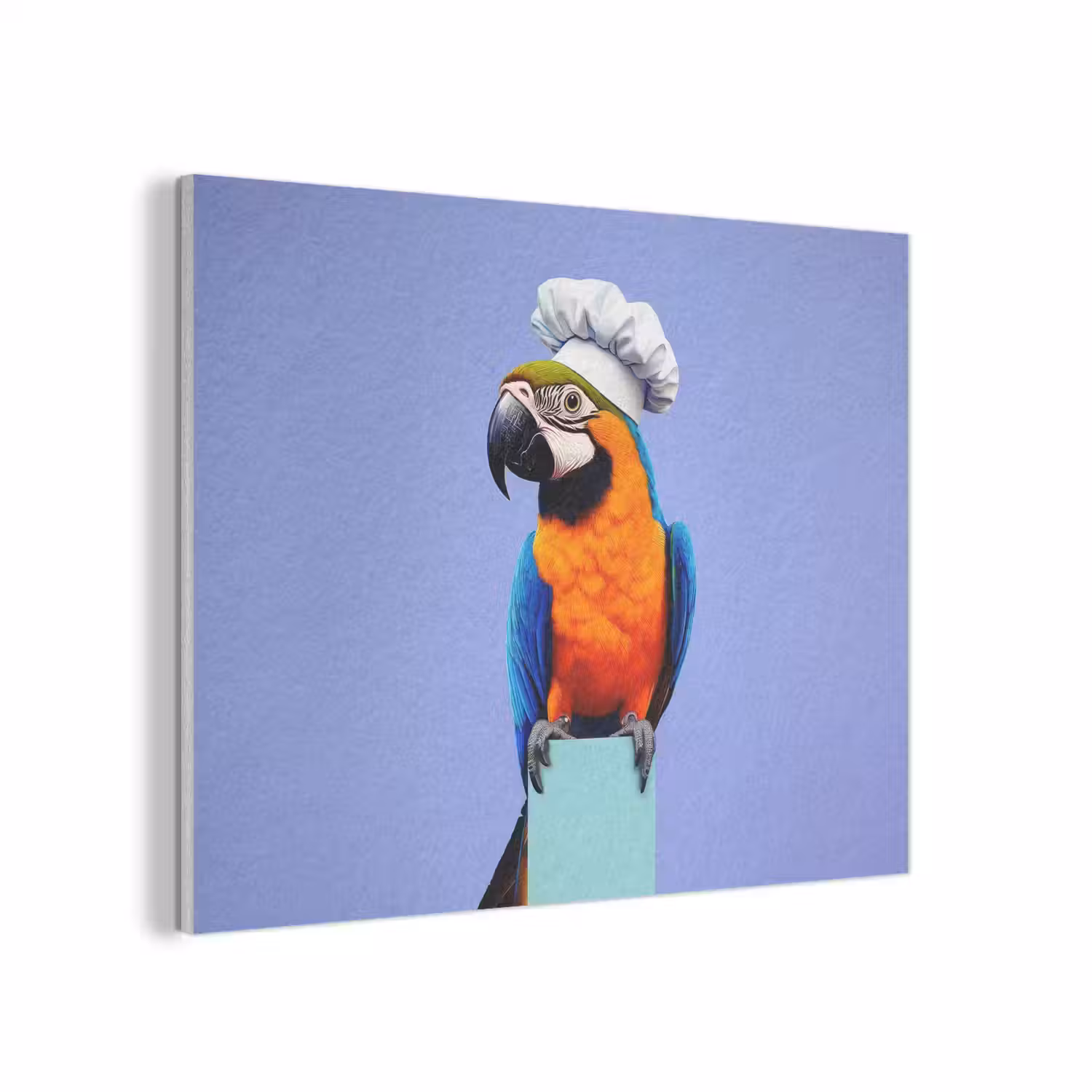 Papegaai - Koksmuts - Vogel - Leuk PET vilt klein -3d