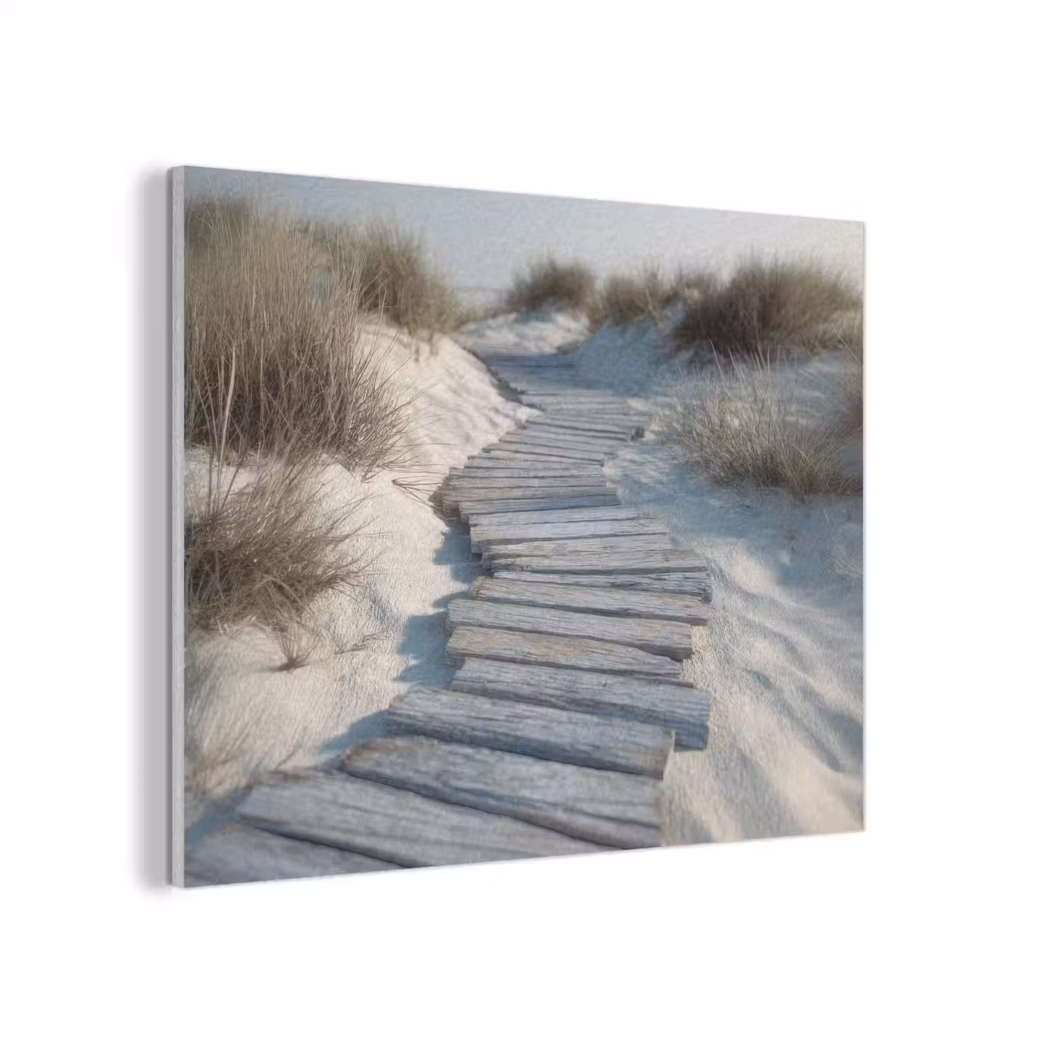 Pad - Planken - Duinen - Gras PET vilt klein -3d