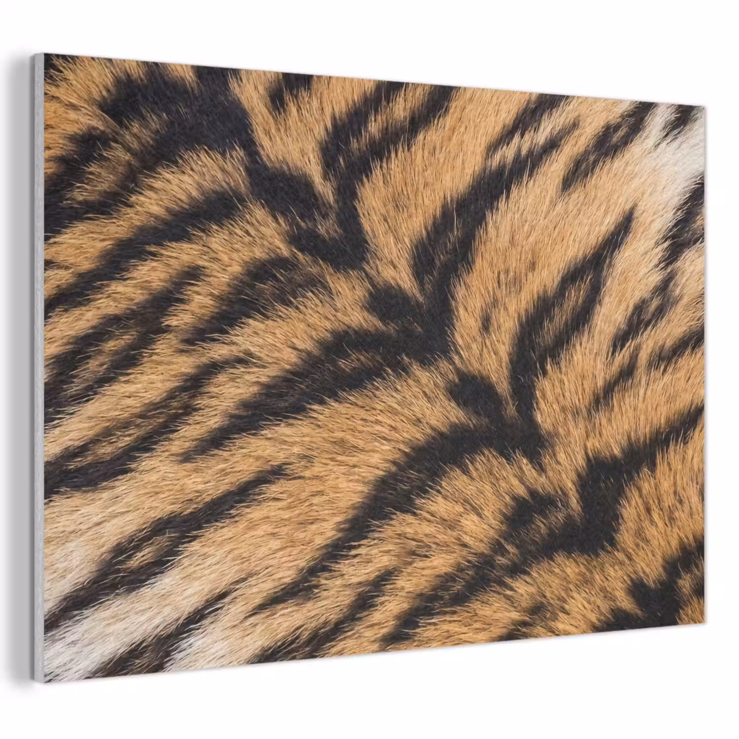 Realistisch - Tijgervacht - Zwart PET vilt klein -3d