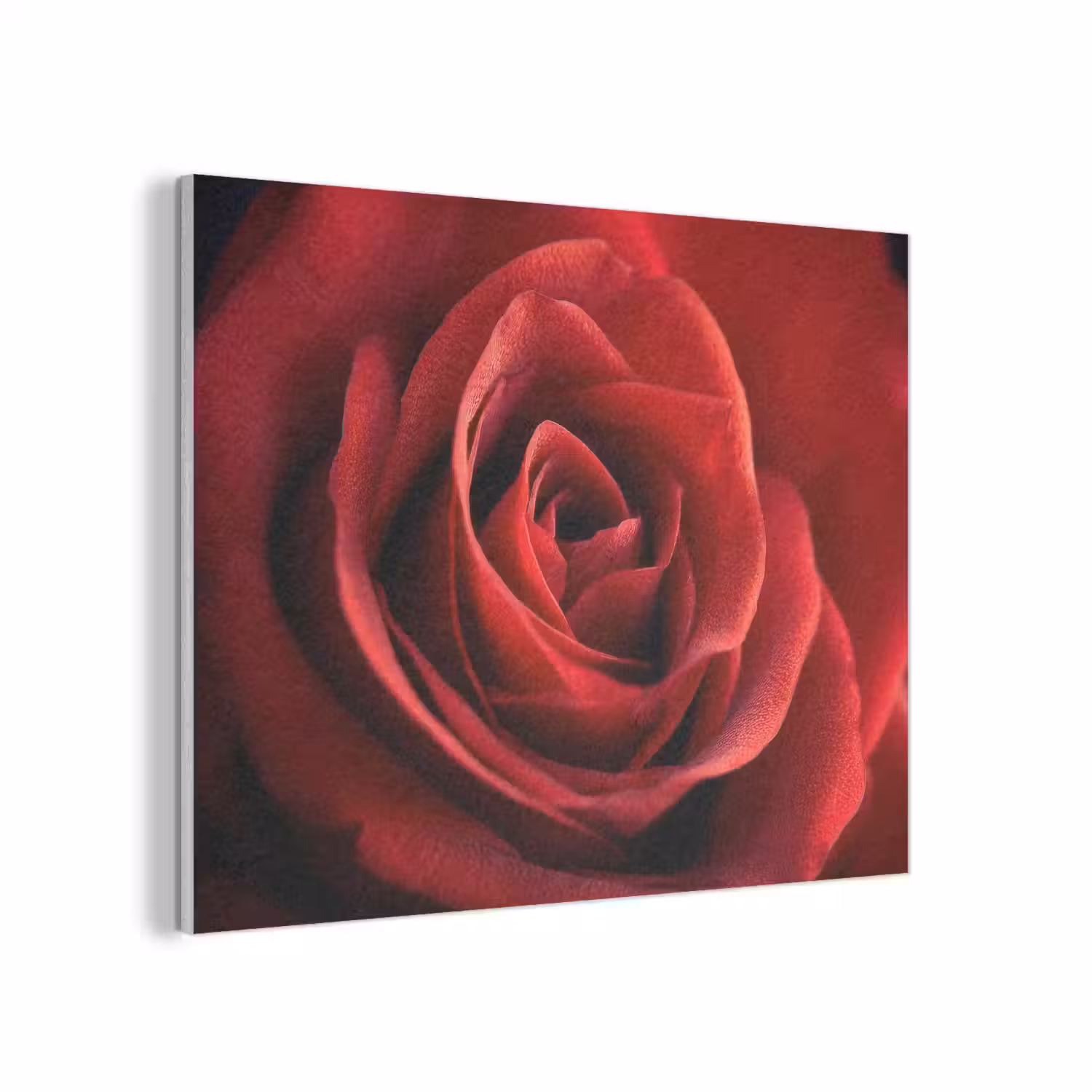 Rood - Roos - Romantisch PET vilt klein -3d
