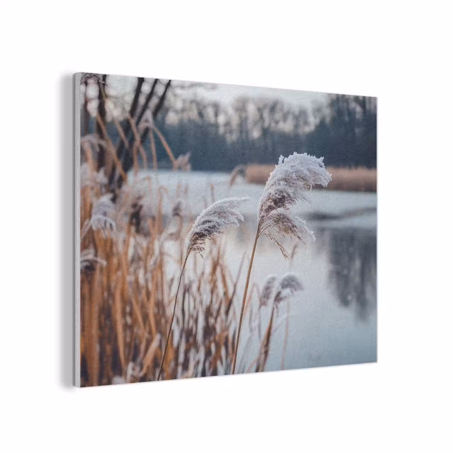 Riet - Gras - Natuur - Winter - Meer PET vilt klein -3d