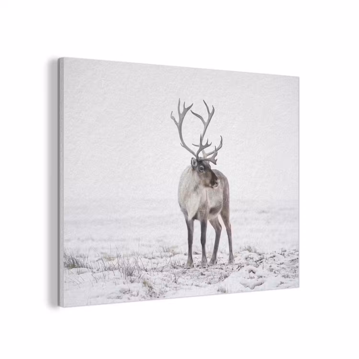 Rendier - Gewei - Sneeuw - Winter PET vilt klein -3d