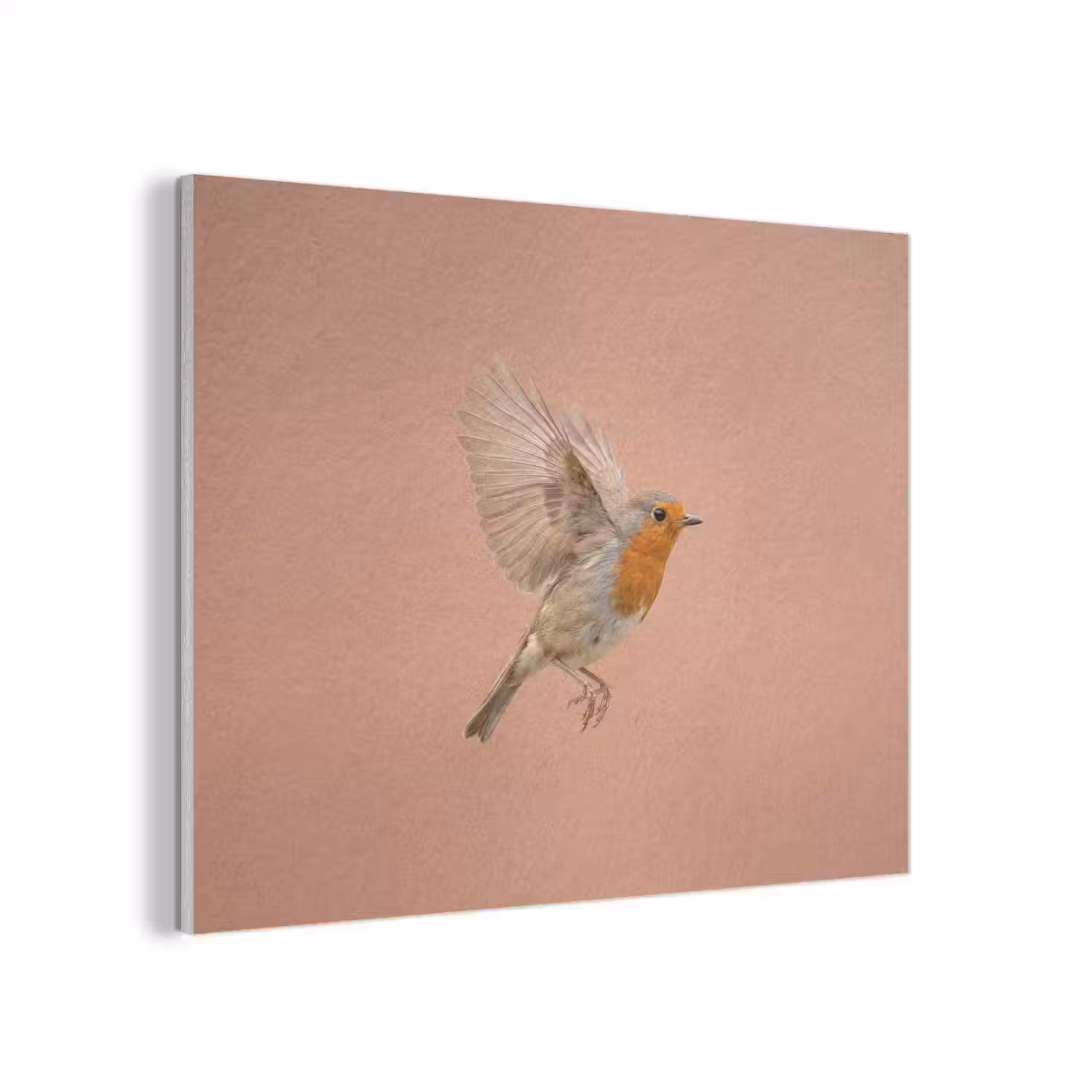 Roodborst - Natuur - Roze PET vilt klein -3d