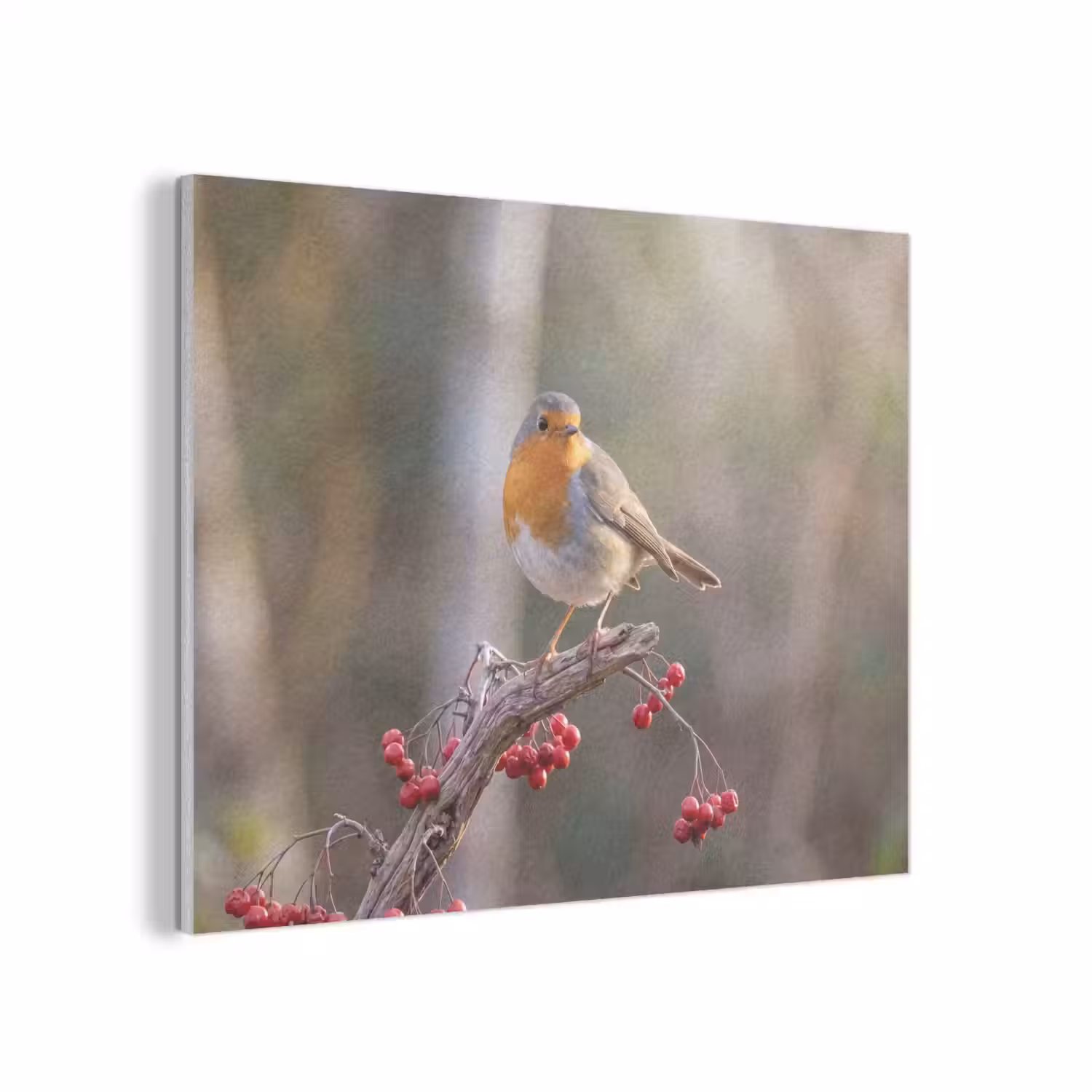 Roodborst - Tak - Bessen - Natuur PET vilt klein -3d