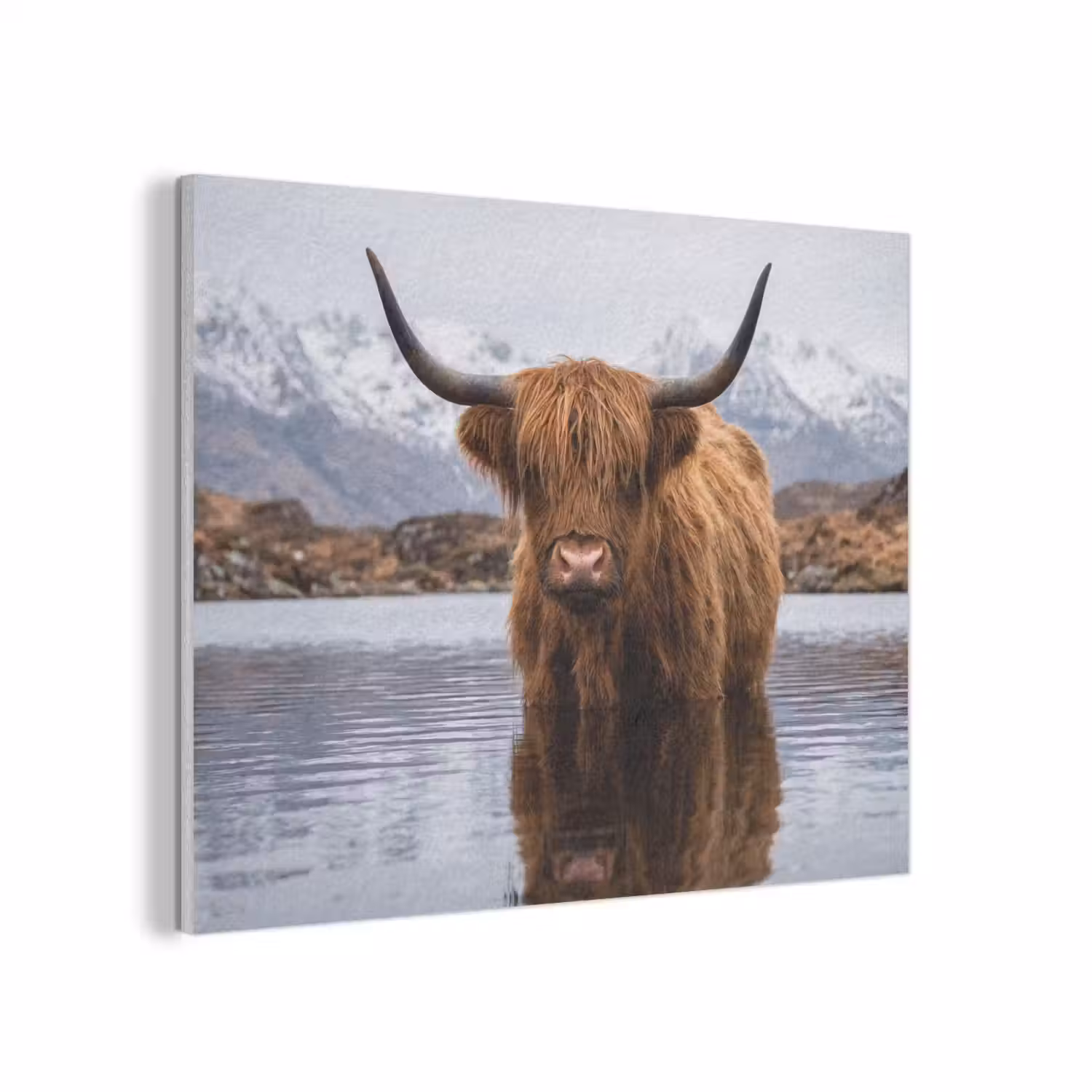 Schotse hooglander - Bruin - Water PET vilt klein -3d