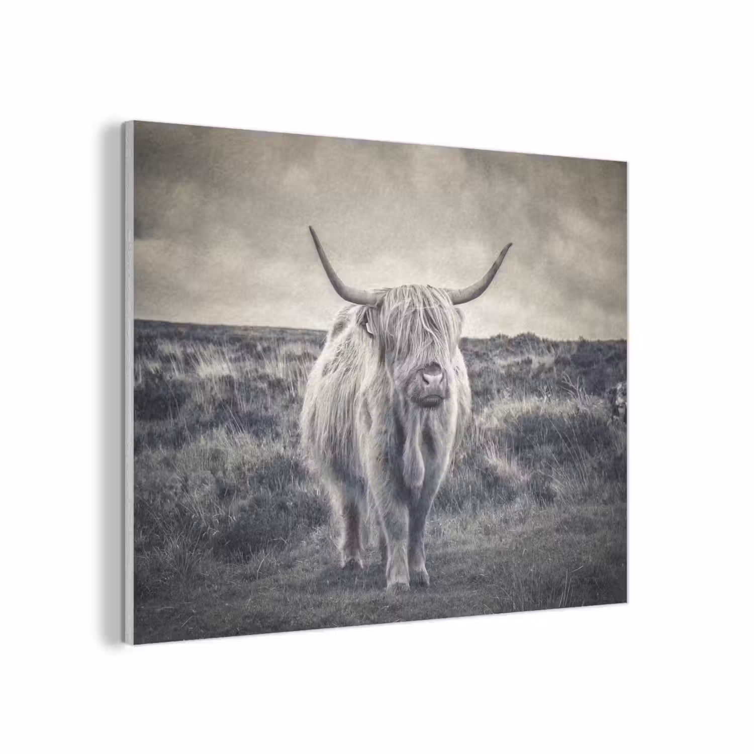 Schotse hooglander - Dieren - Wolken - Koe - Natuur PET vilt klein -3d
