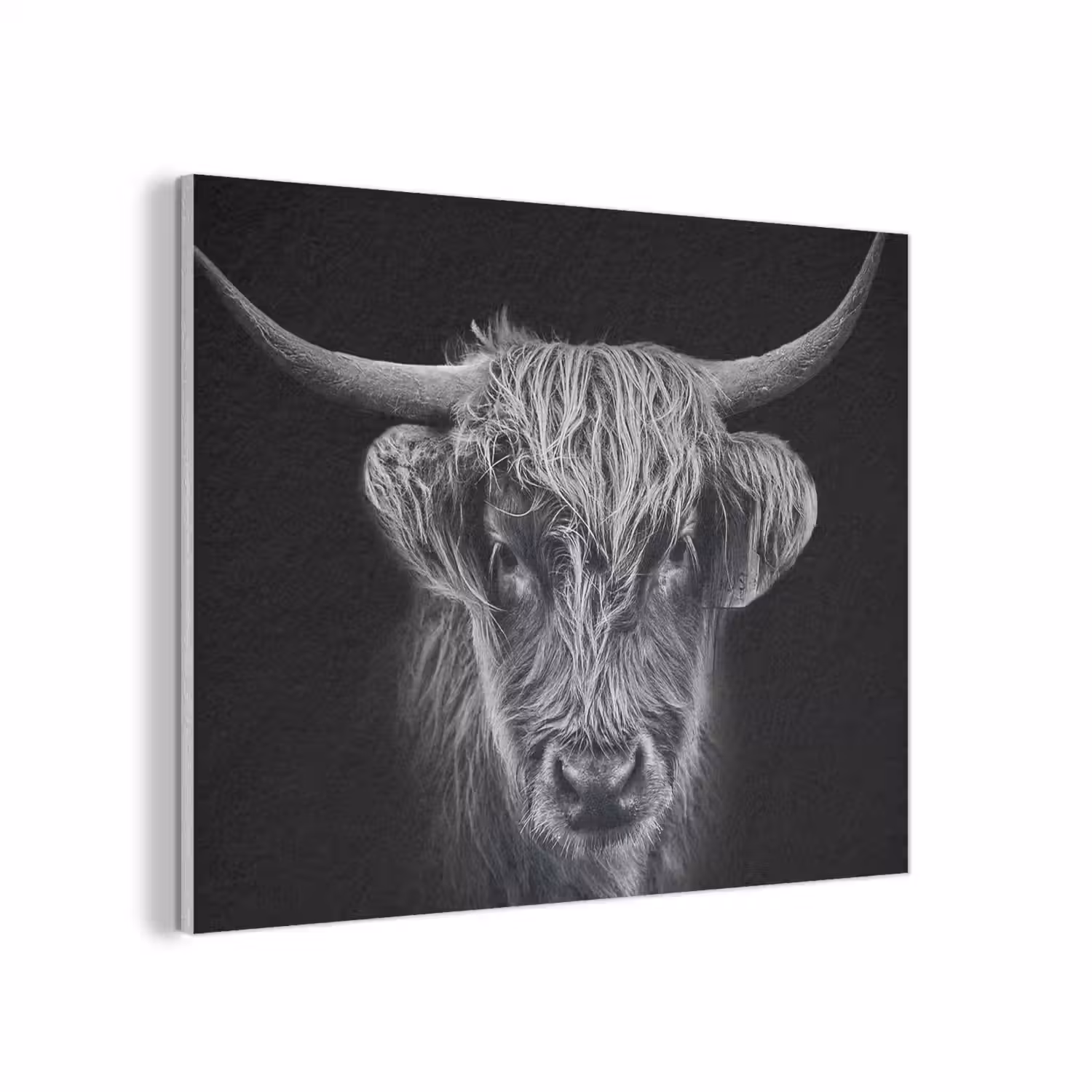 Schotse hooglander - Zwart - Koe - Dieren PET vilt klein -3d