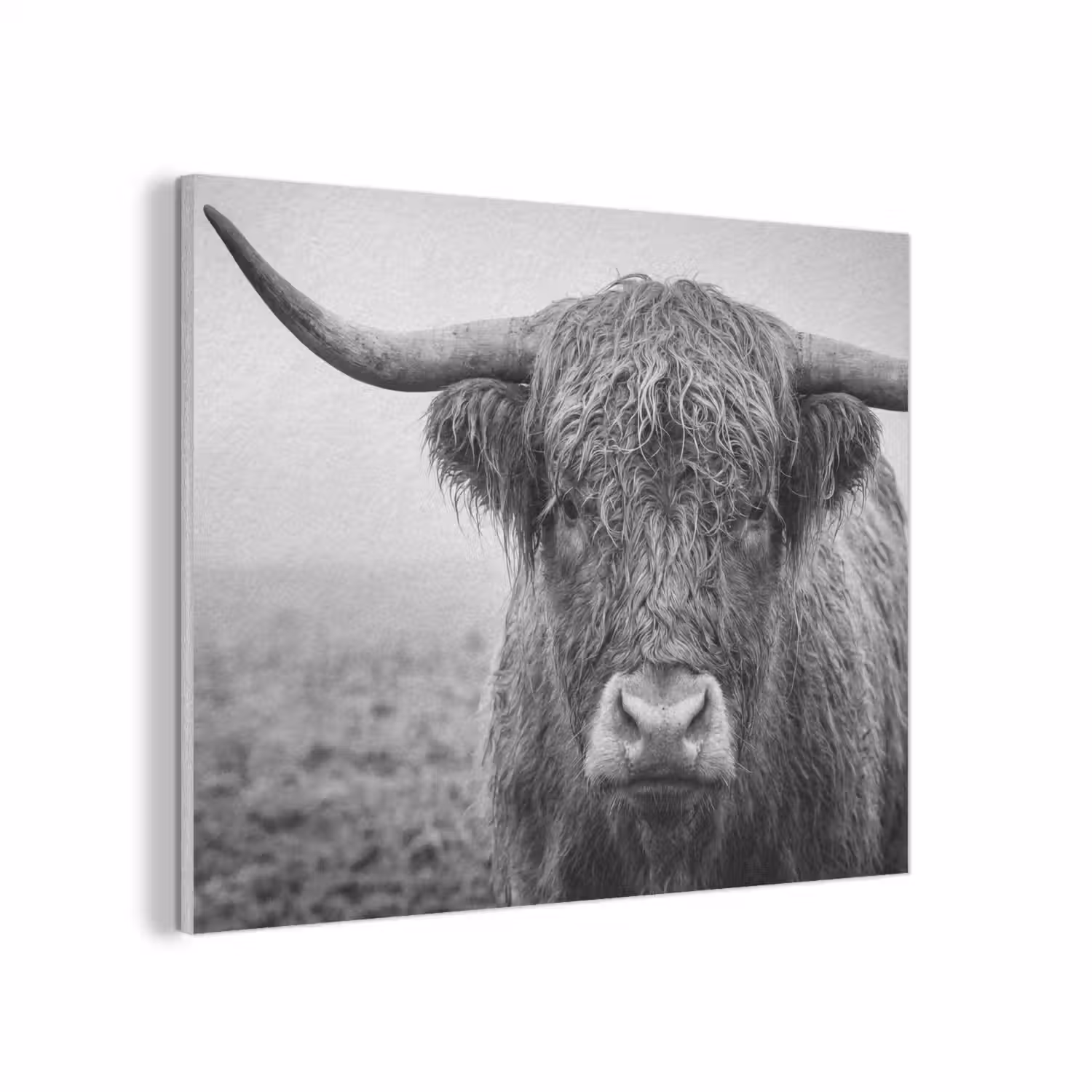 Schotse hooglander - Zwart - Wit - Gras PET vilt klein -3d