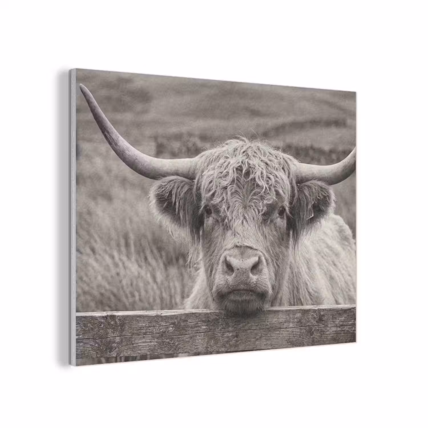 Schotse hooglander - Zwart - Wit - Hout PET vilt klein -3d