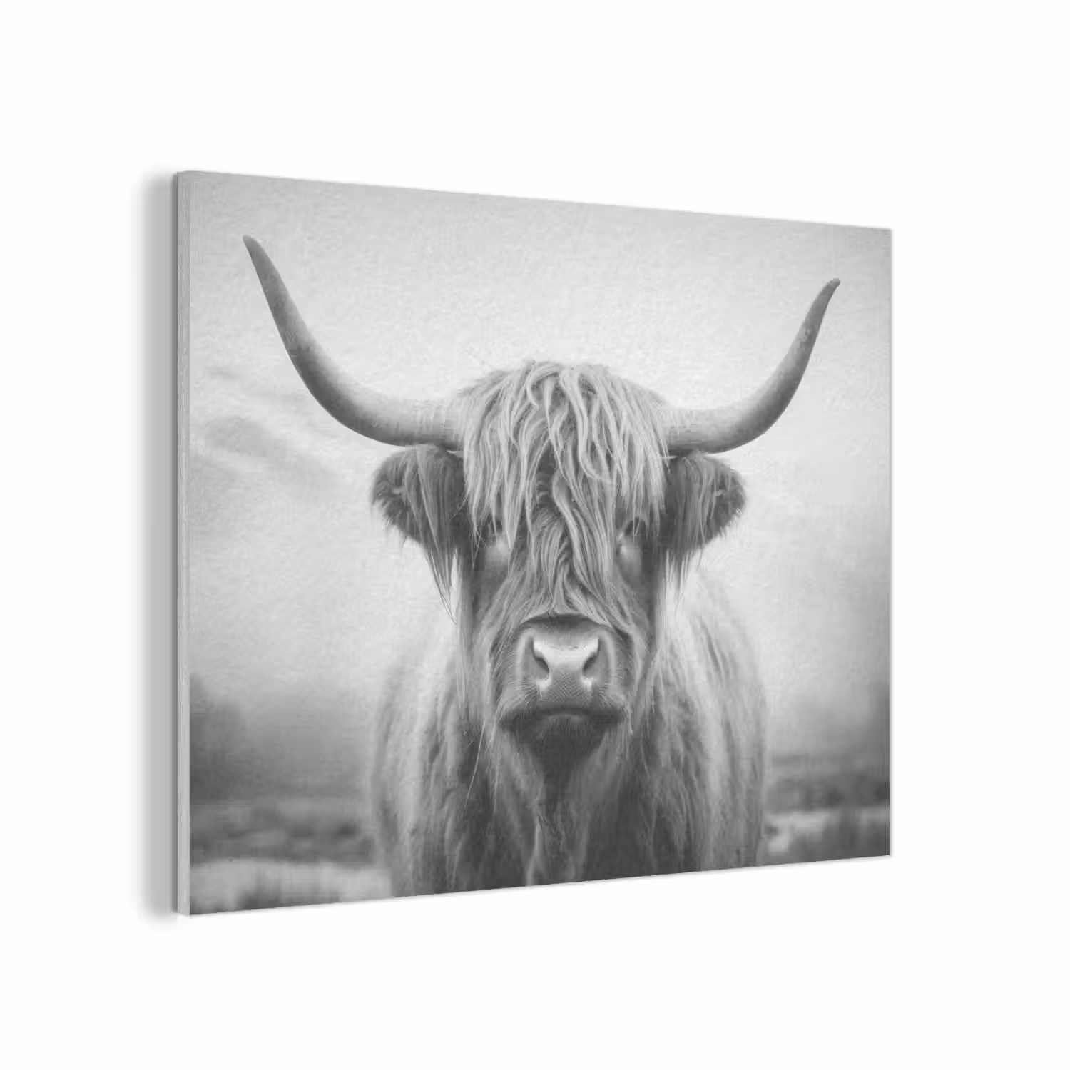 Schotse hooglander - Mist - Zwart - Wit PET vilt klein -3d