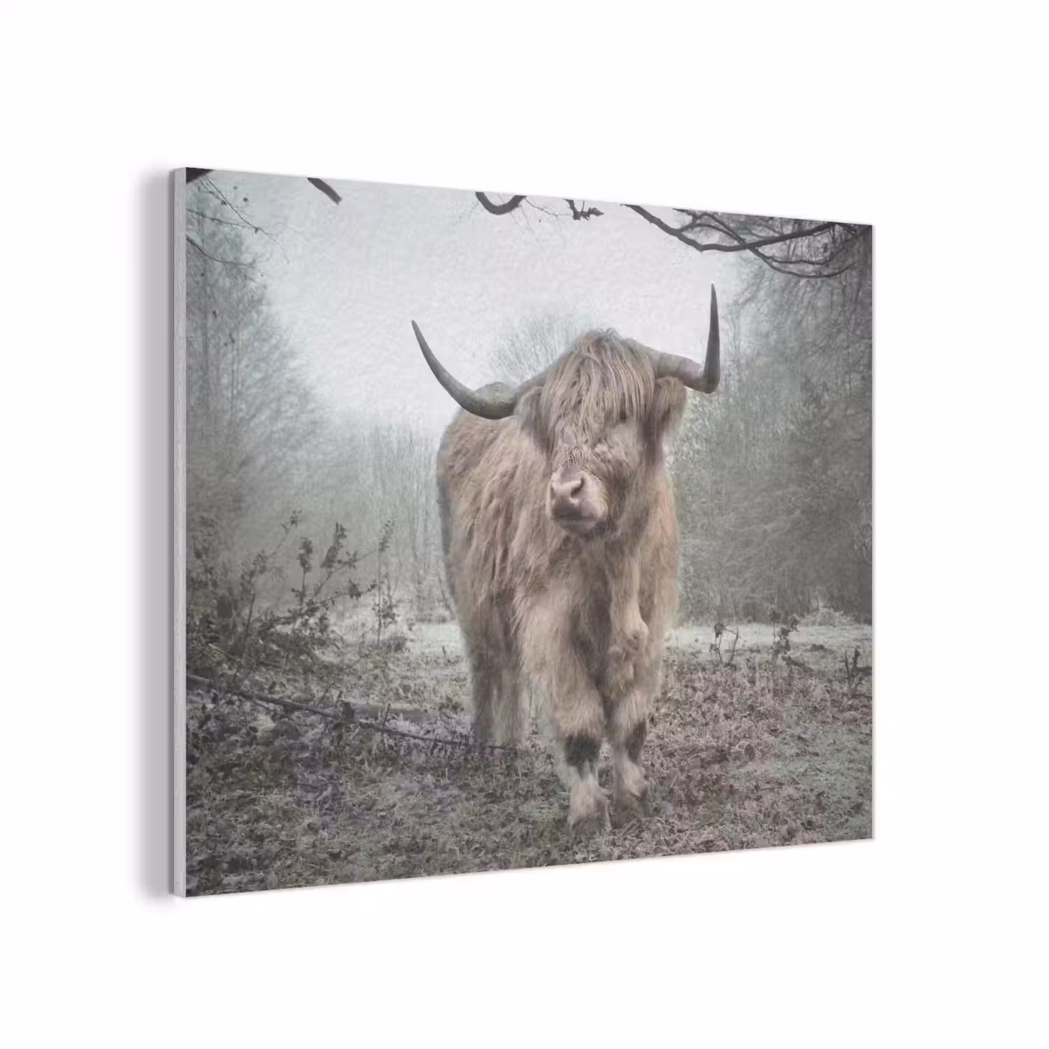 Schotse Hooglander - Bos - Mist - Koe - Dieren - Natuur PET vilt klein -3d