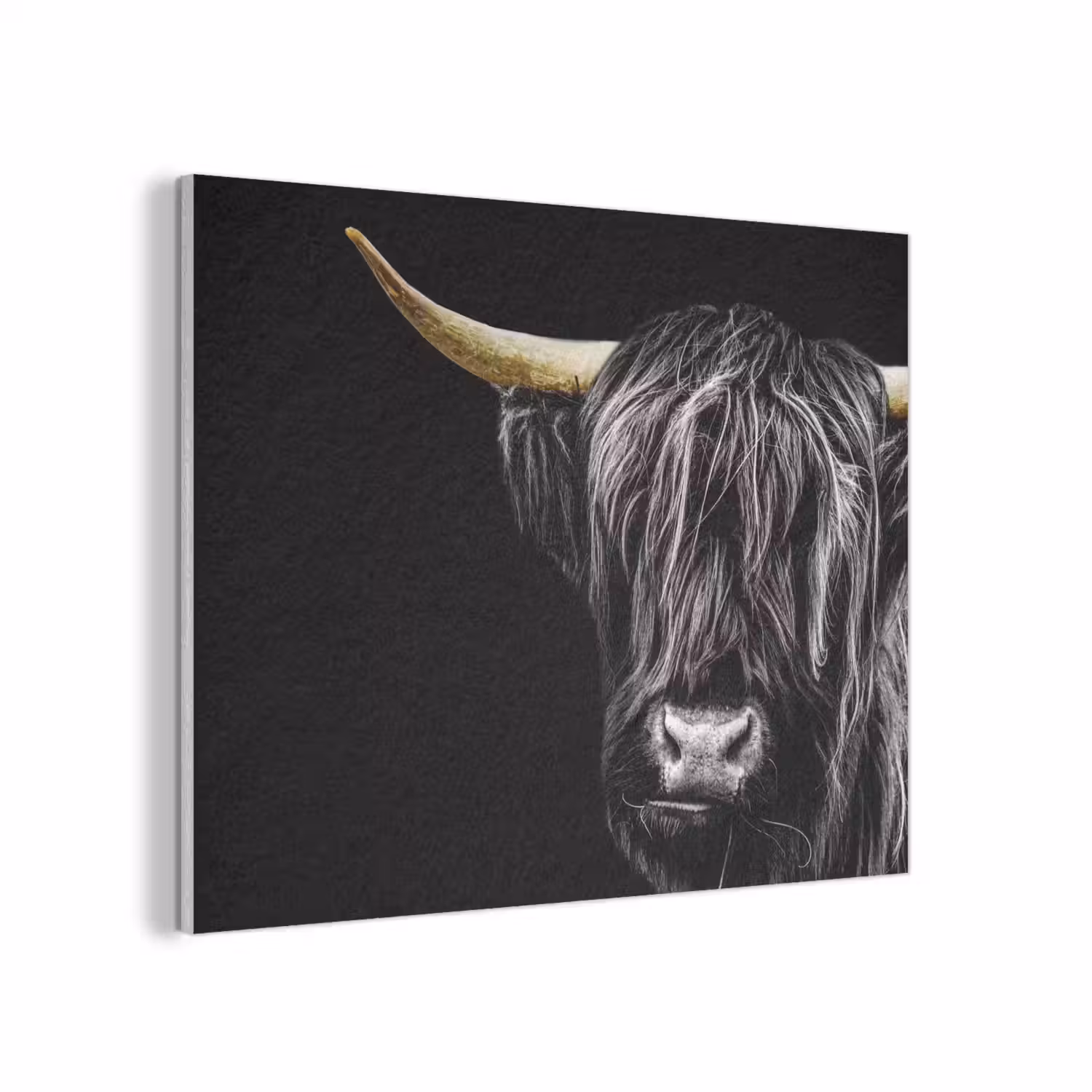 Schotse hooglander - Goud - Vacht - Dieren - Koe PET vilt klein -3d