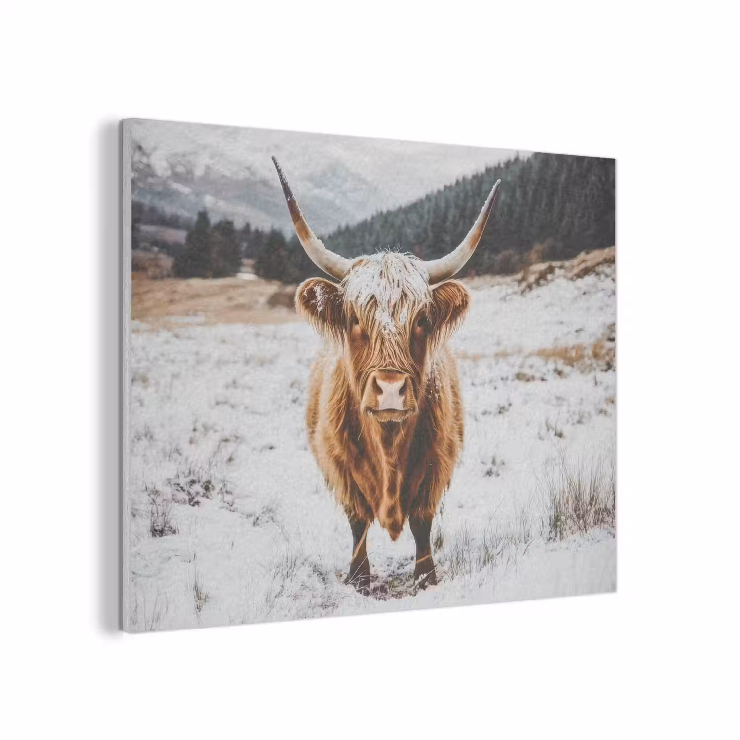 Schotse Hooglander - Landschap - Sneeuw - Bergen - Winter PET vilt klein -3d