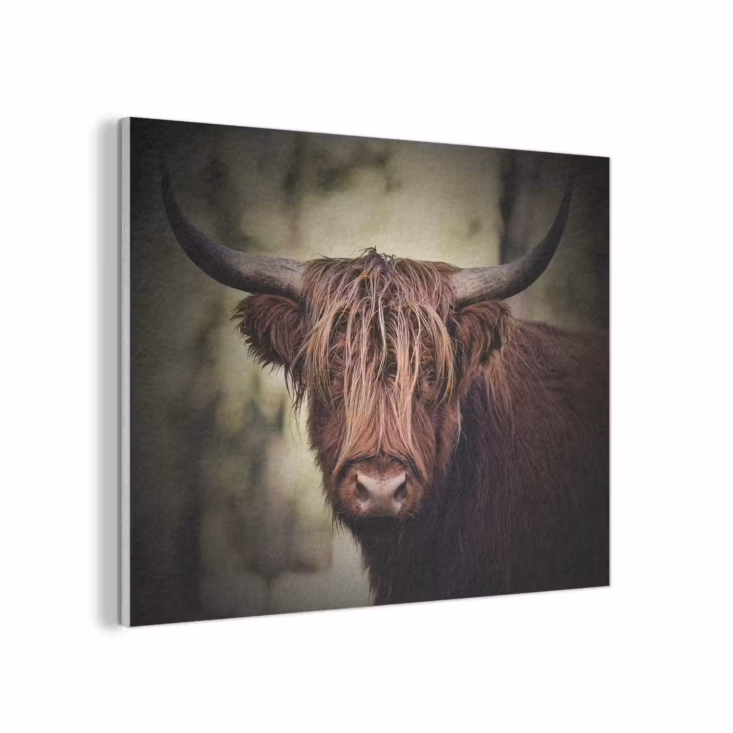 Schotse hooglander - Licht - Portret - Natuur PET vilt klein -3d