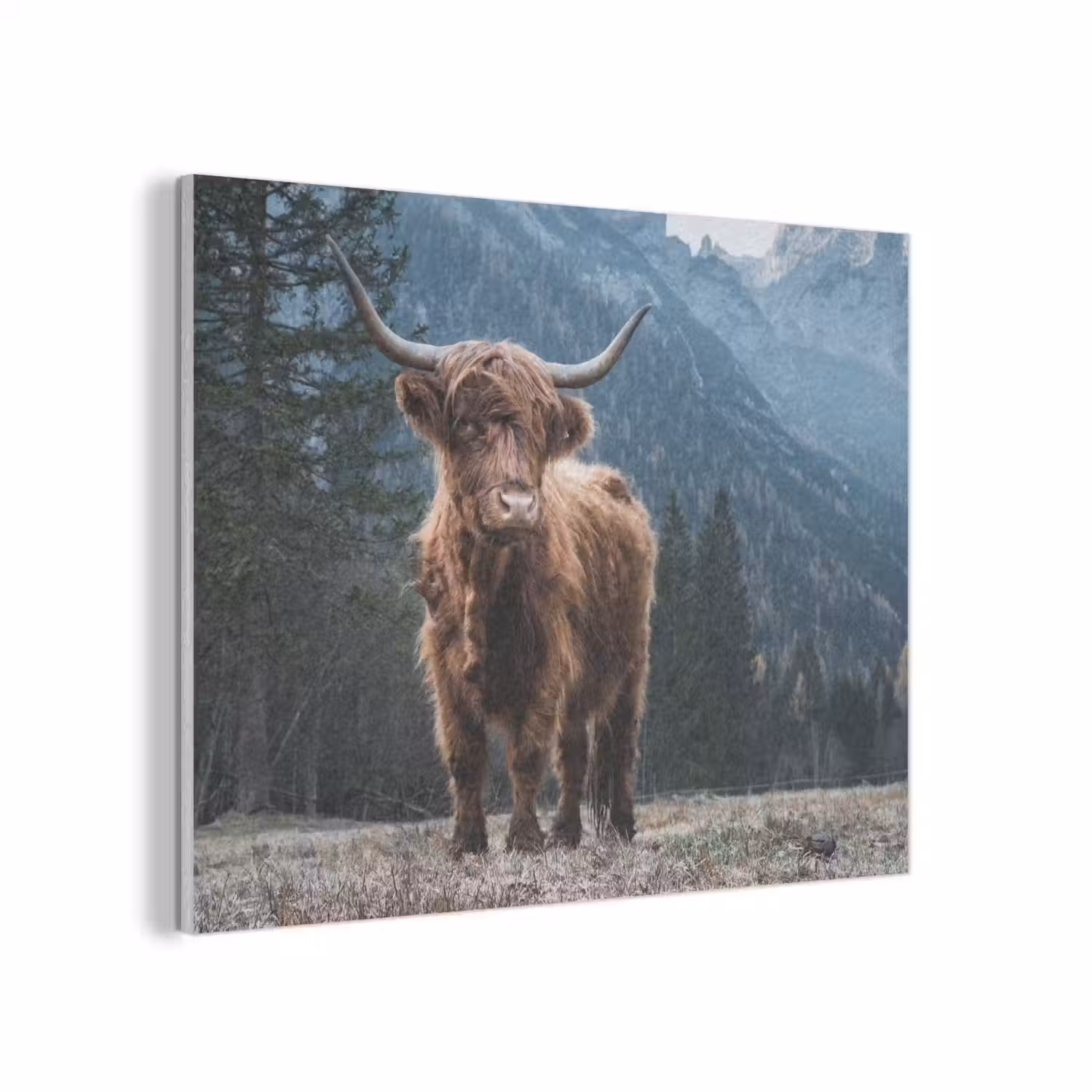 Schotse hooglander - Berg - Landschap - Bomen - Koe - Natuur PET vilt klein -3d