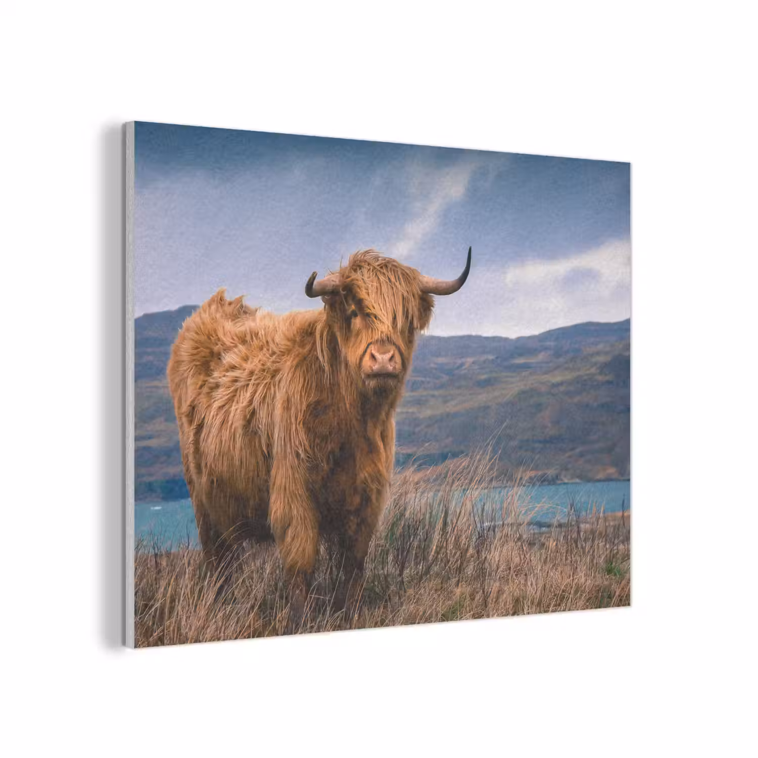 Schotse Hooglander - Berg - Water - Natuur - Koe PET vilt klein -3d