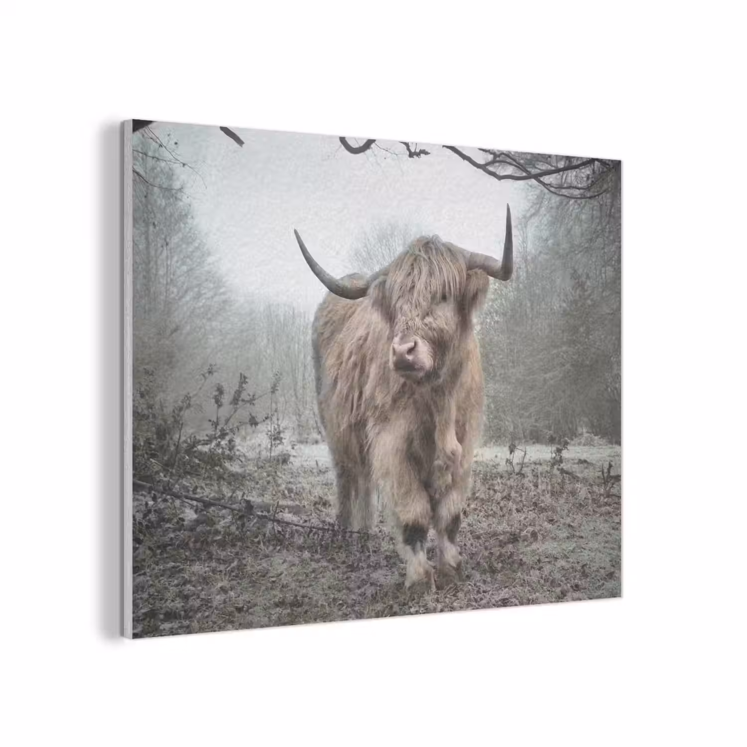 Schotse hooglander - Natuur - Herfst - Dieren - Wild - Bos PET vilt klein -3d