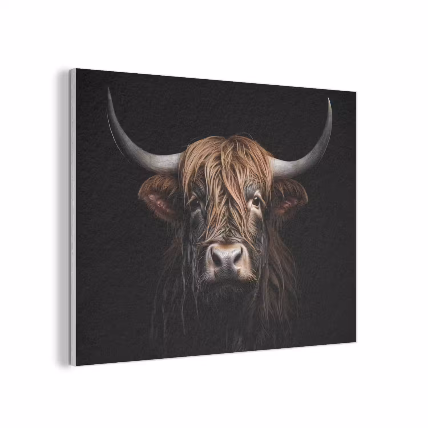 Schotse hooglander - Portret - Zwart - Dier PET vilt klein -3d