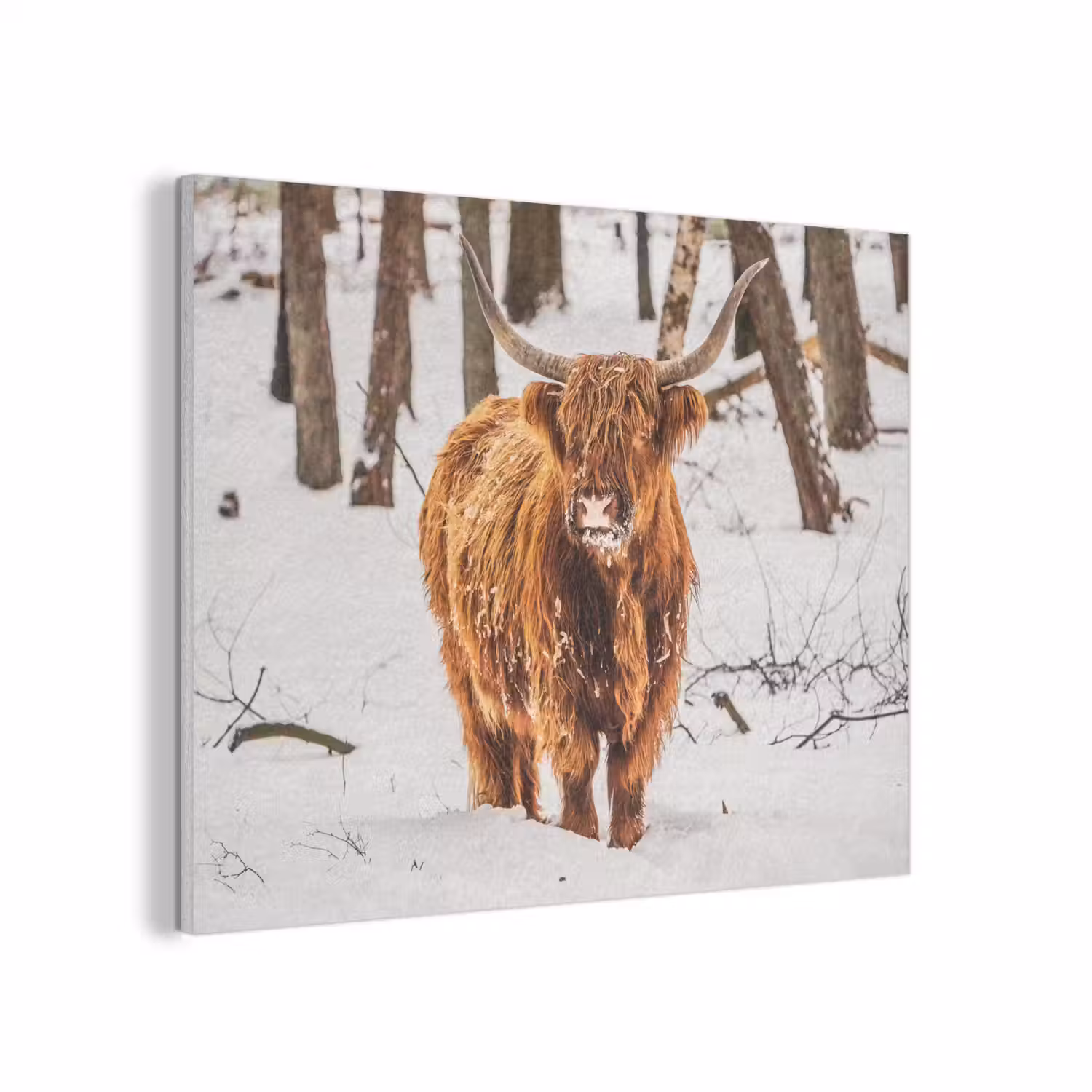 Schotse Hooglander - Sneeuw - Winter - Natuur - Dieren PET vilt klein -3d