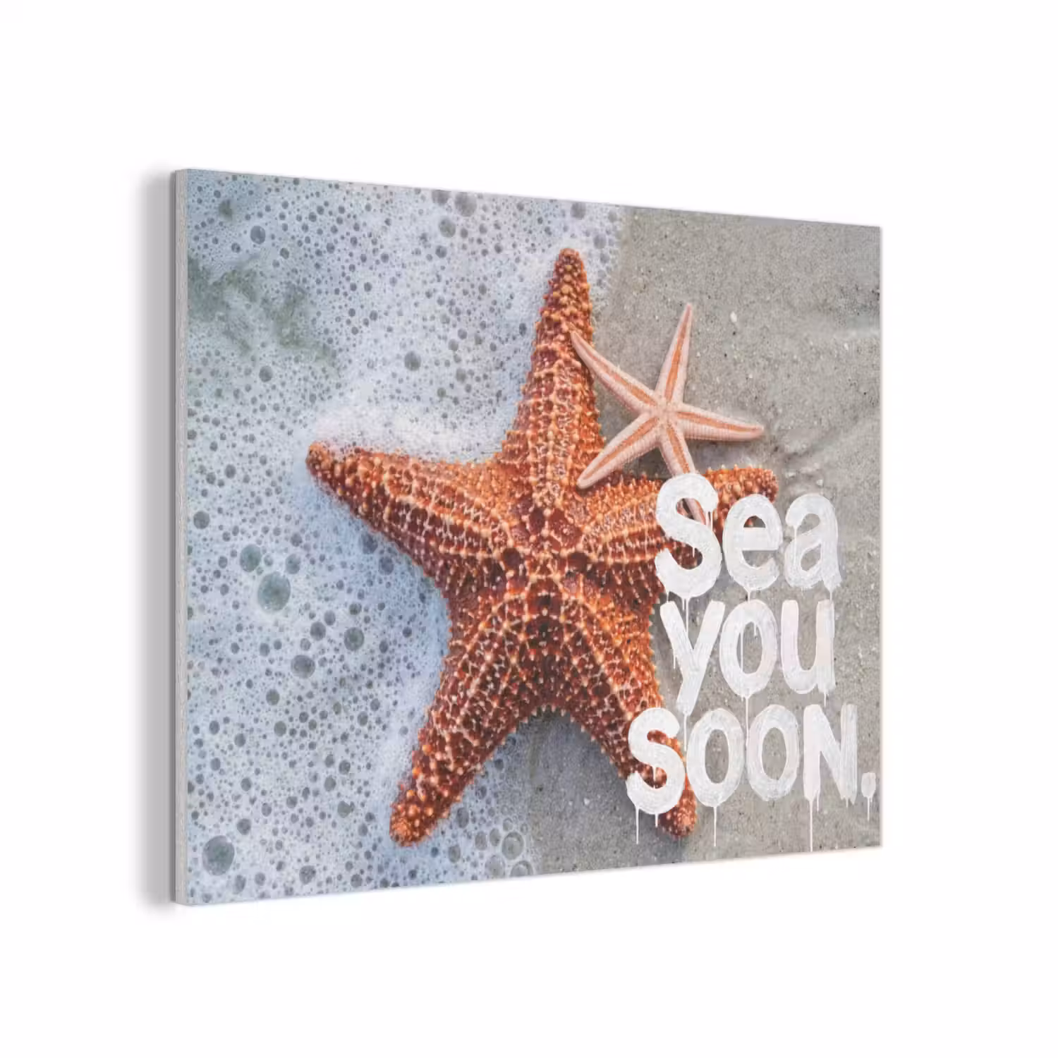 Sea you soon - Zeester - Zee PET vilt klein -3d