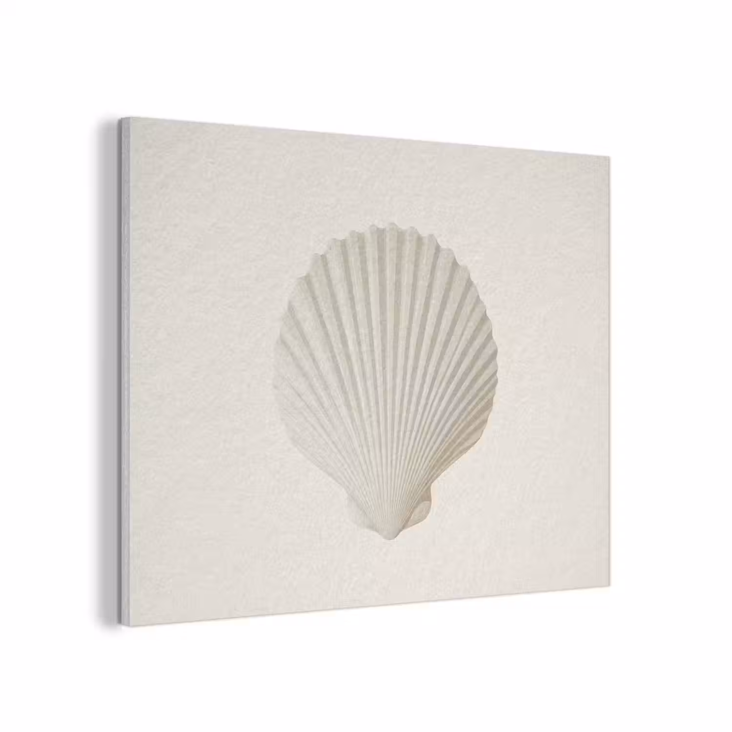 Schelp - Minimalistisch - Wit PET vilt klein -3d